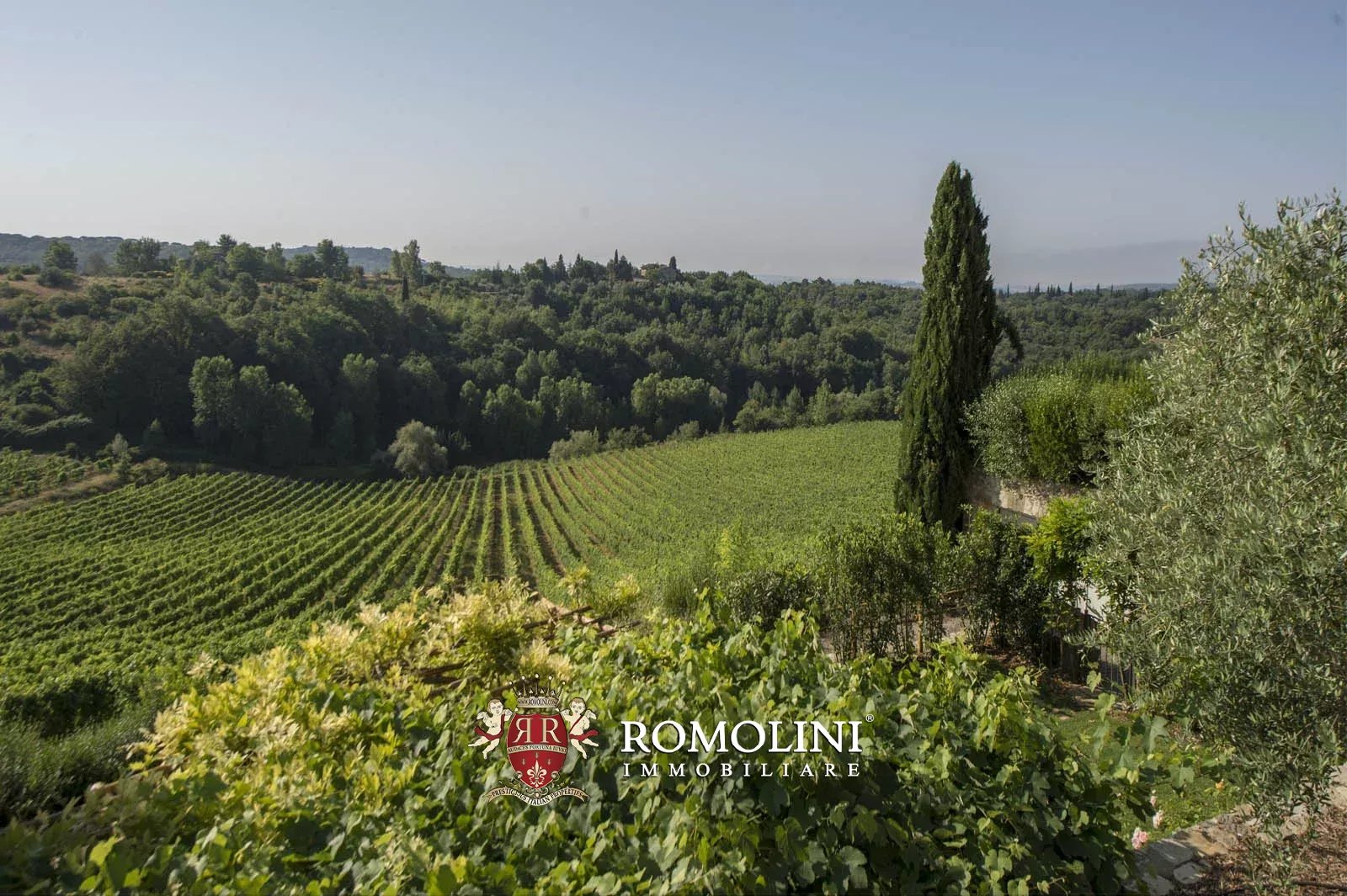 20 Bedroom Vineyard's Image 28