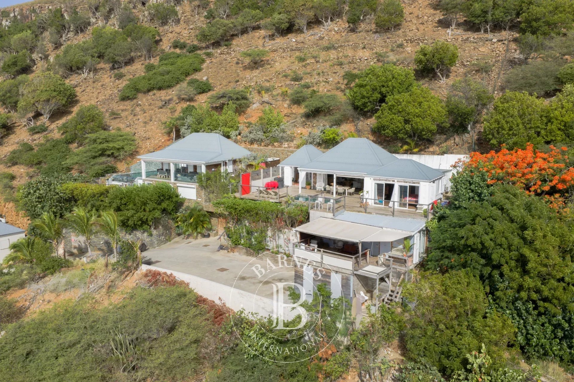 Villa Saint-Barthélemy  -  ref 87276014 (picture 3)