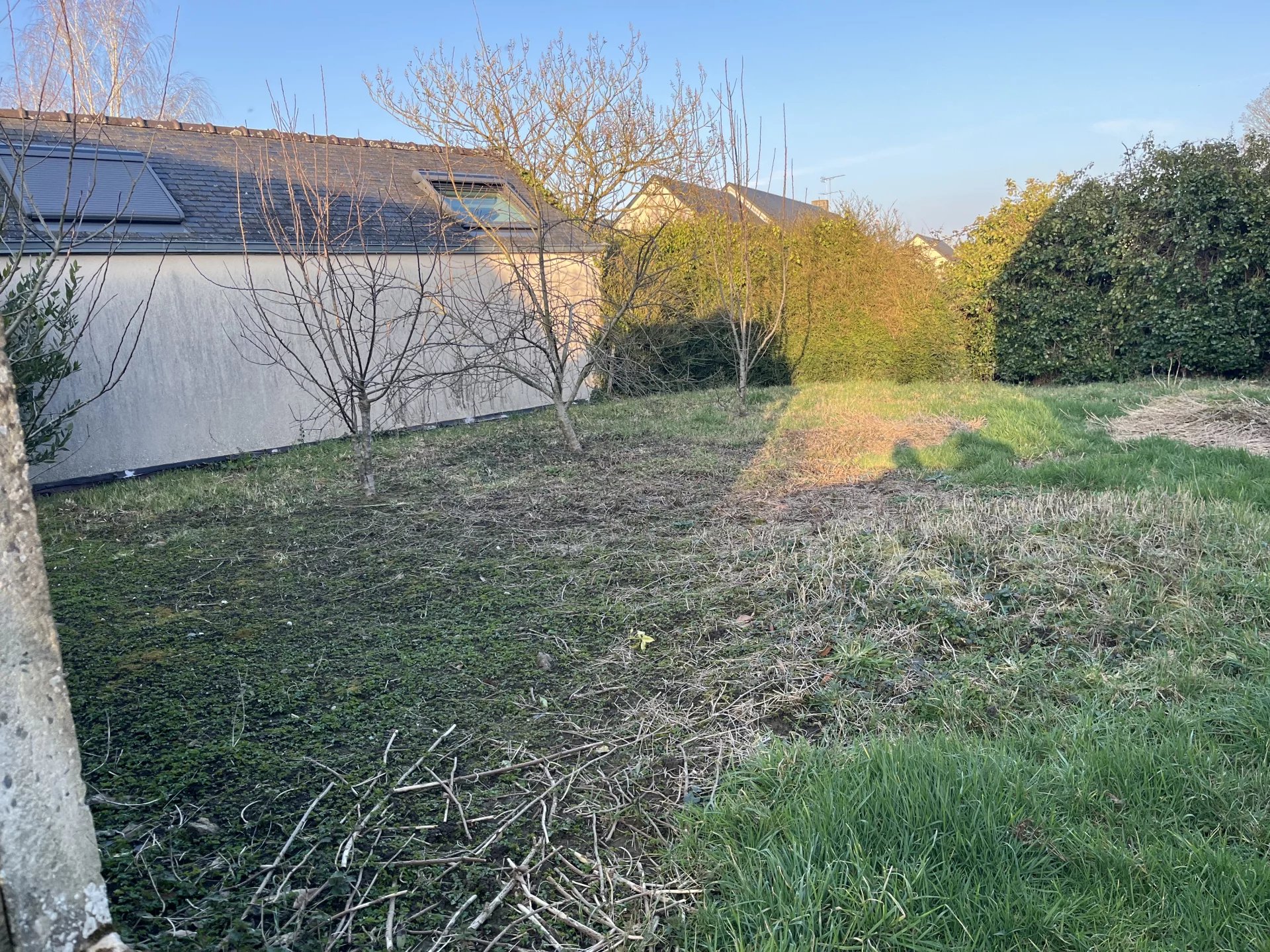 immeuble de rapport  exclu  RANCE IMMO   locaux pro ou commerce