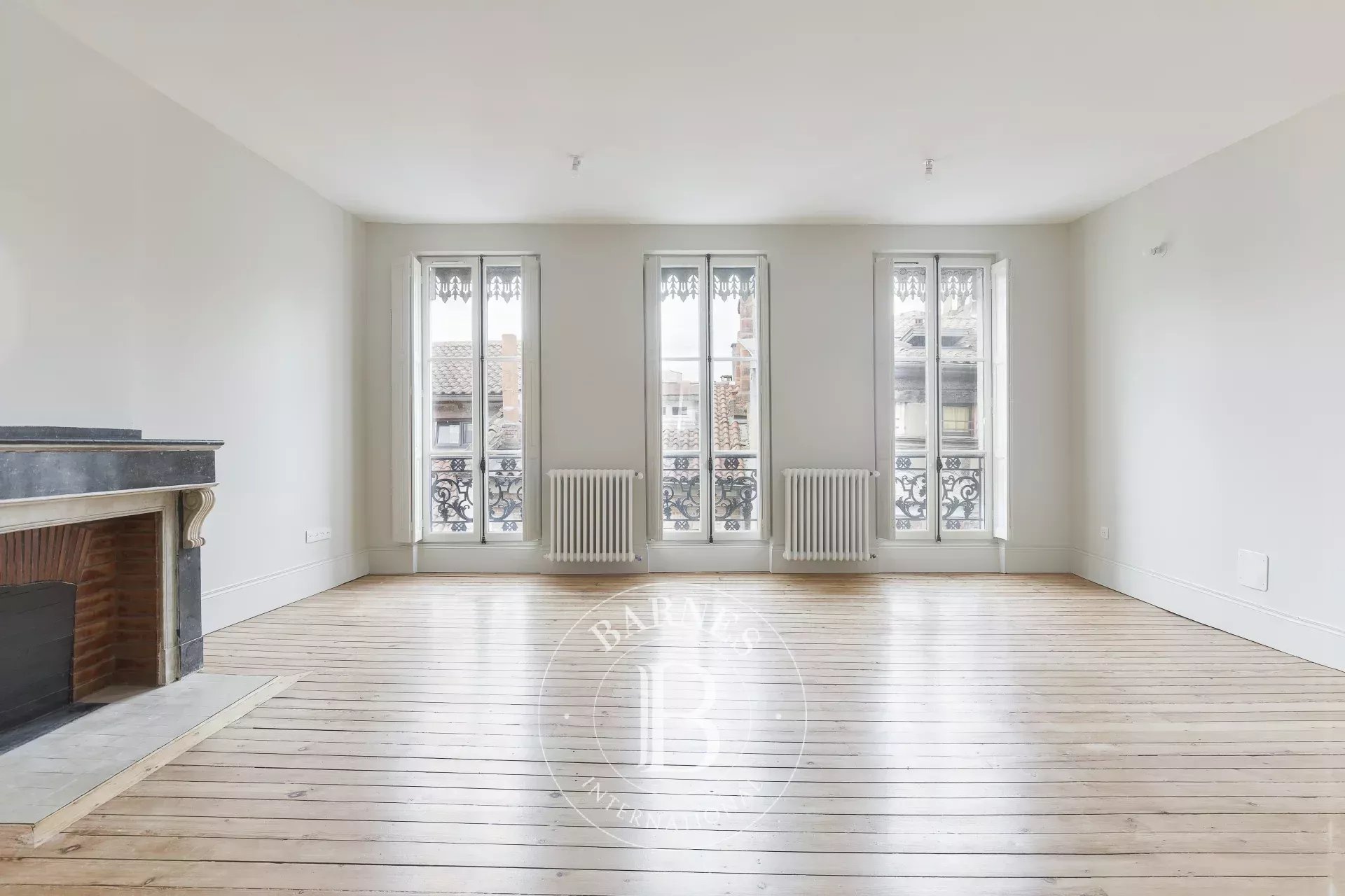 Appartement Toulouse  -  ref 86915321 (picture 2)