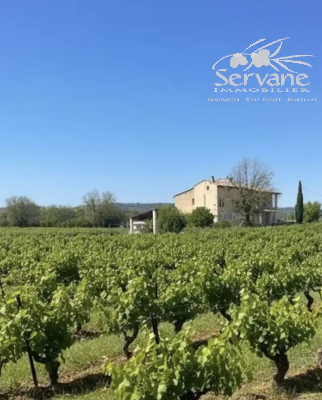 VINES PROPERTY FOR SALE IN COTIGNAC