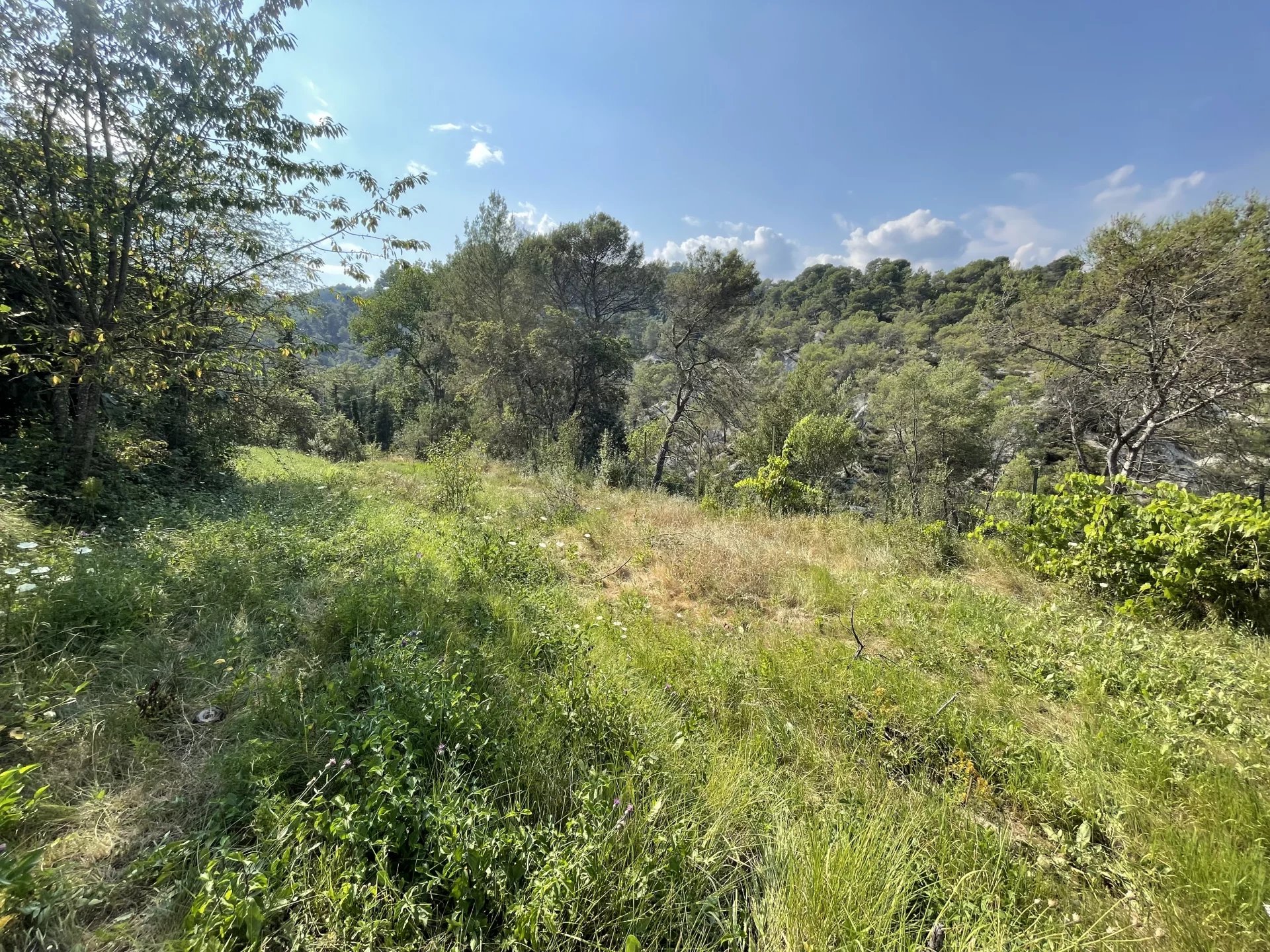 COL DE NICE - BERRE LES ALPES - Photo 3