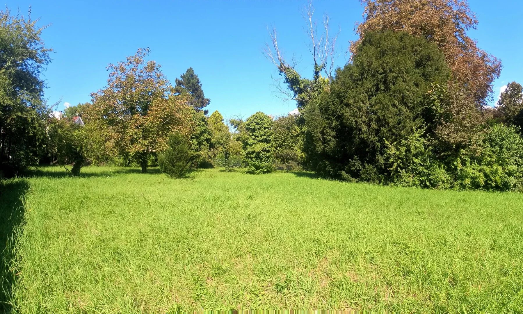 *** À VENDRE - TERRAIN DE 11,80 ARES À SAINT LOUIS ***