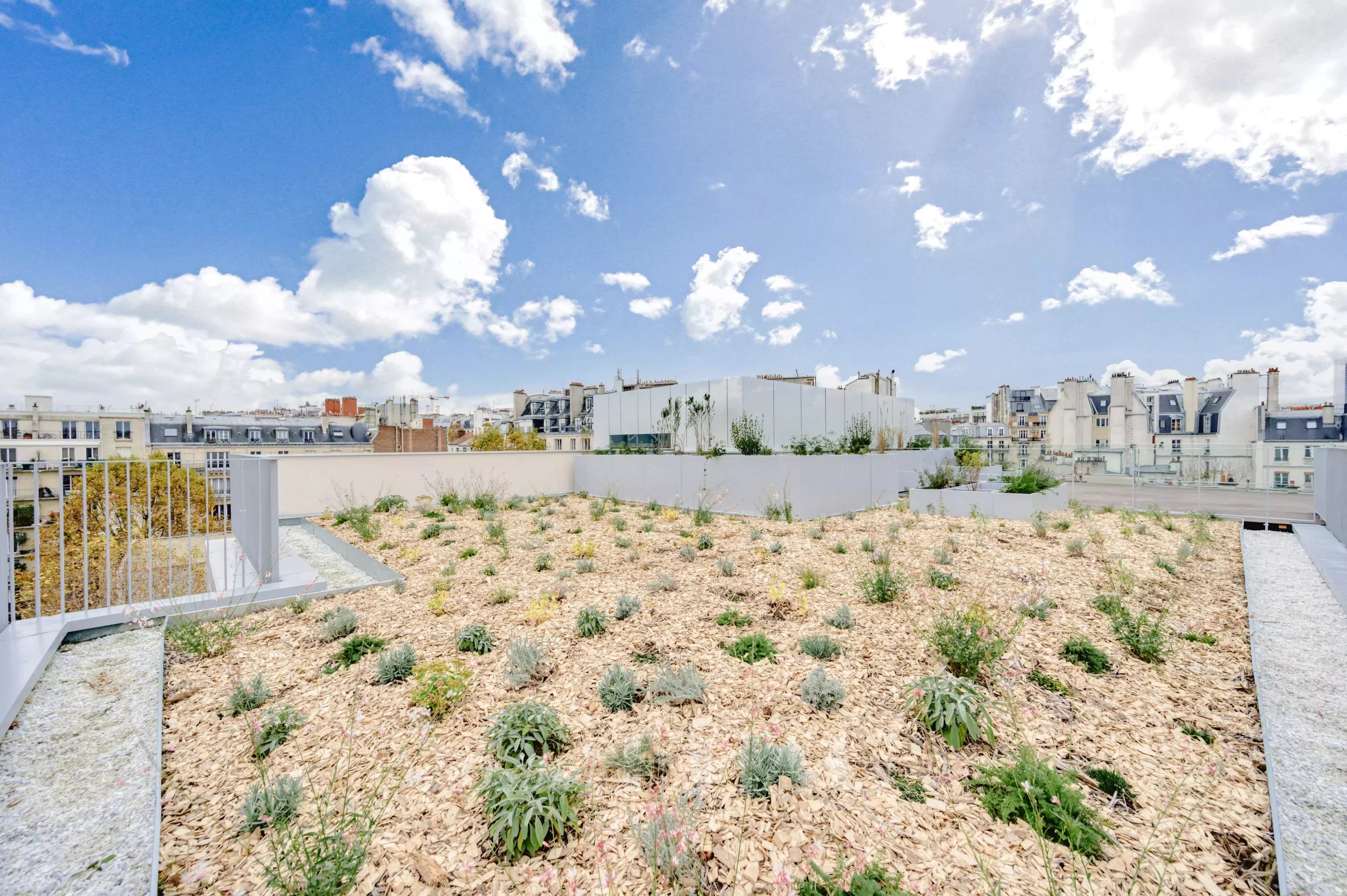 Location Penthouse Paris 6ème