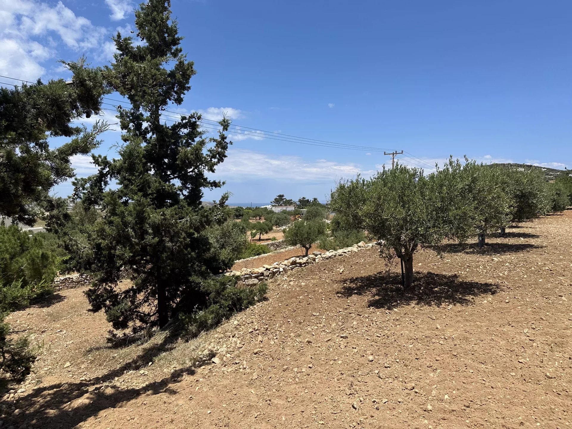 Εικόνα ιδιοκτησίας 4