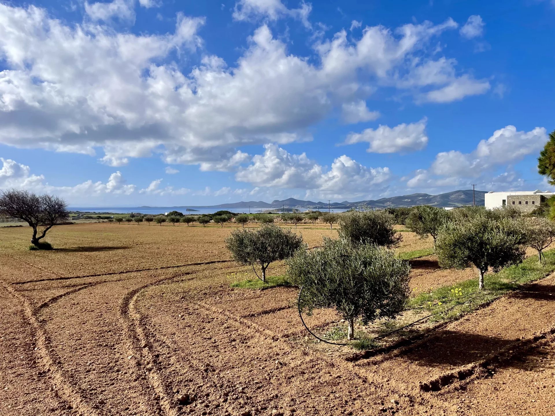 Charming Plot with Sea & Mountain Views – A Unique Opportunity