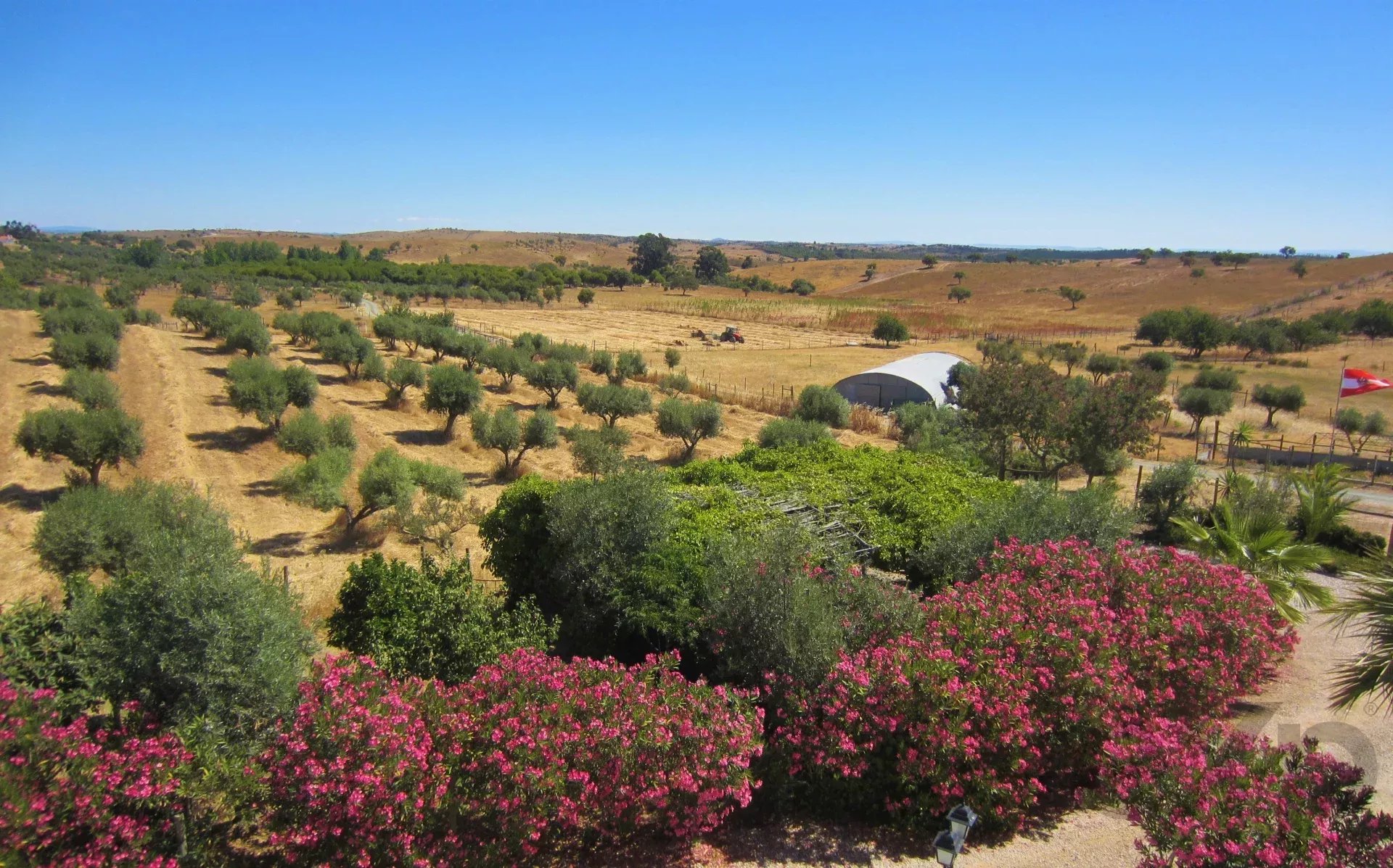 Herdade Cativante in Alentejo: A Tourist Investment with Immeasurable Potential 🌿✨ 86362095 image 58