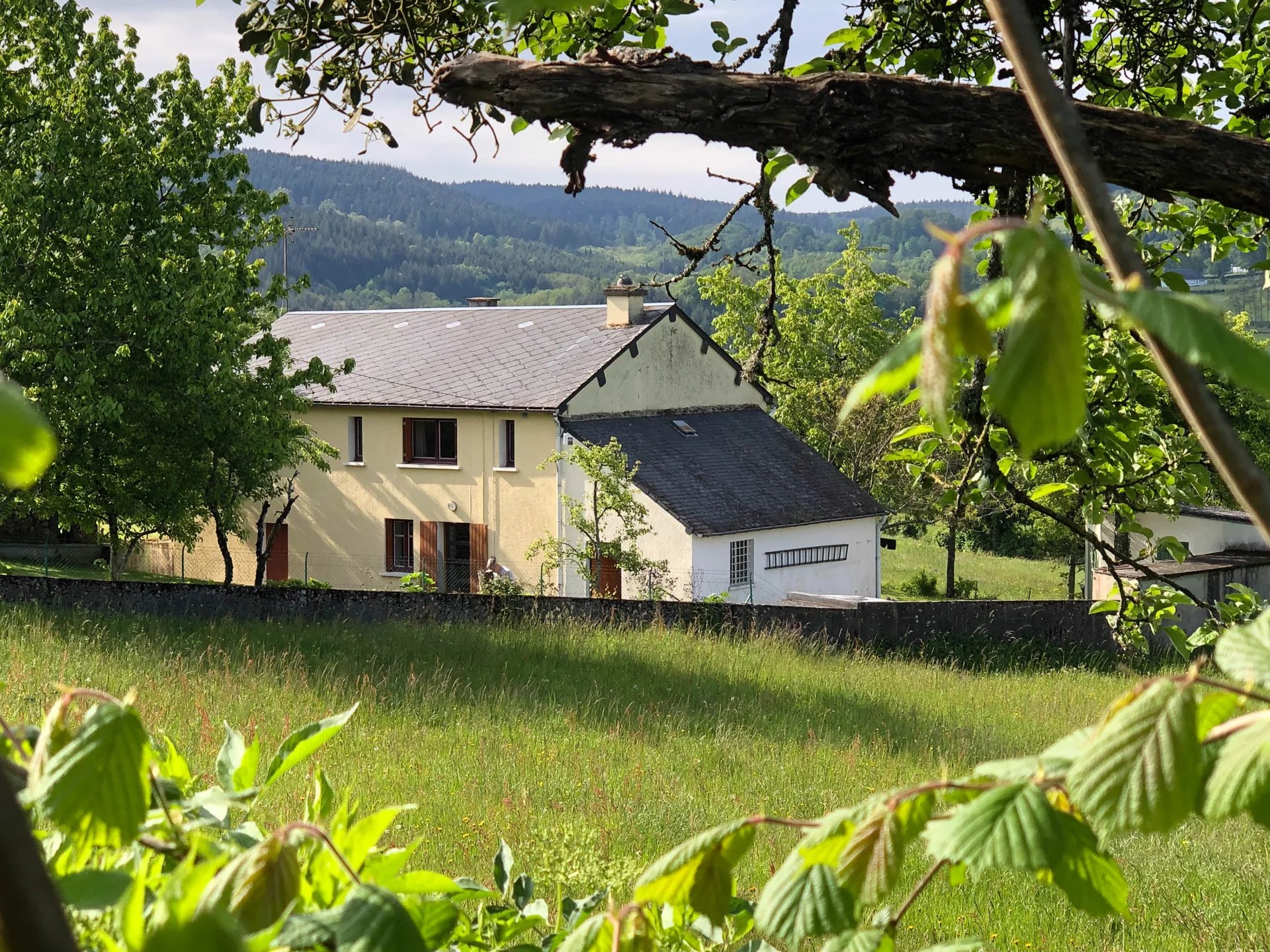 Vente Maison Château-Chinon (Campagne)