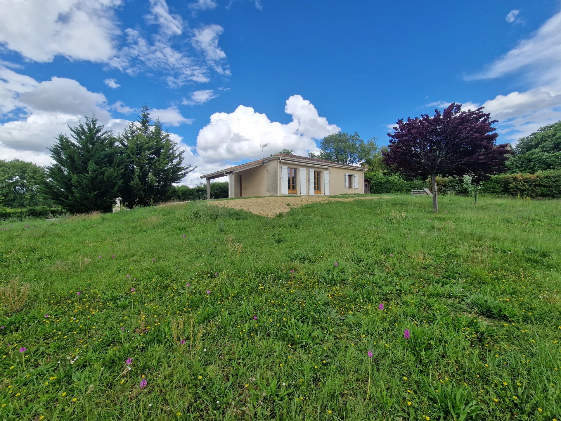 Agence immobilière de 