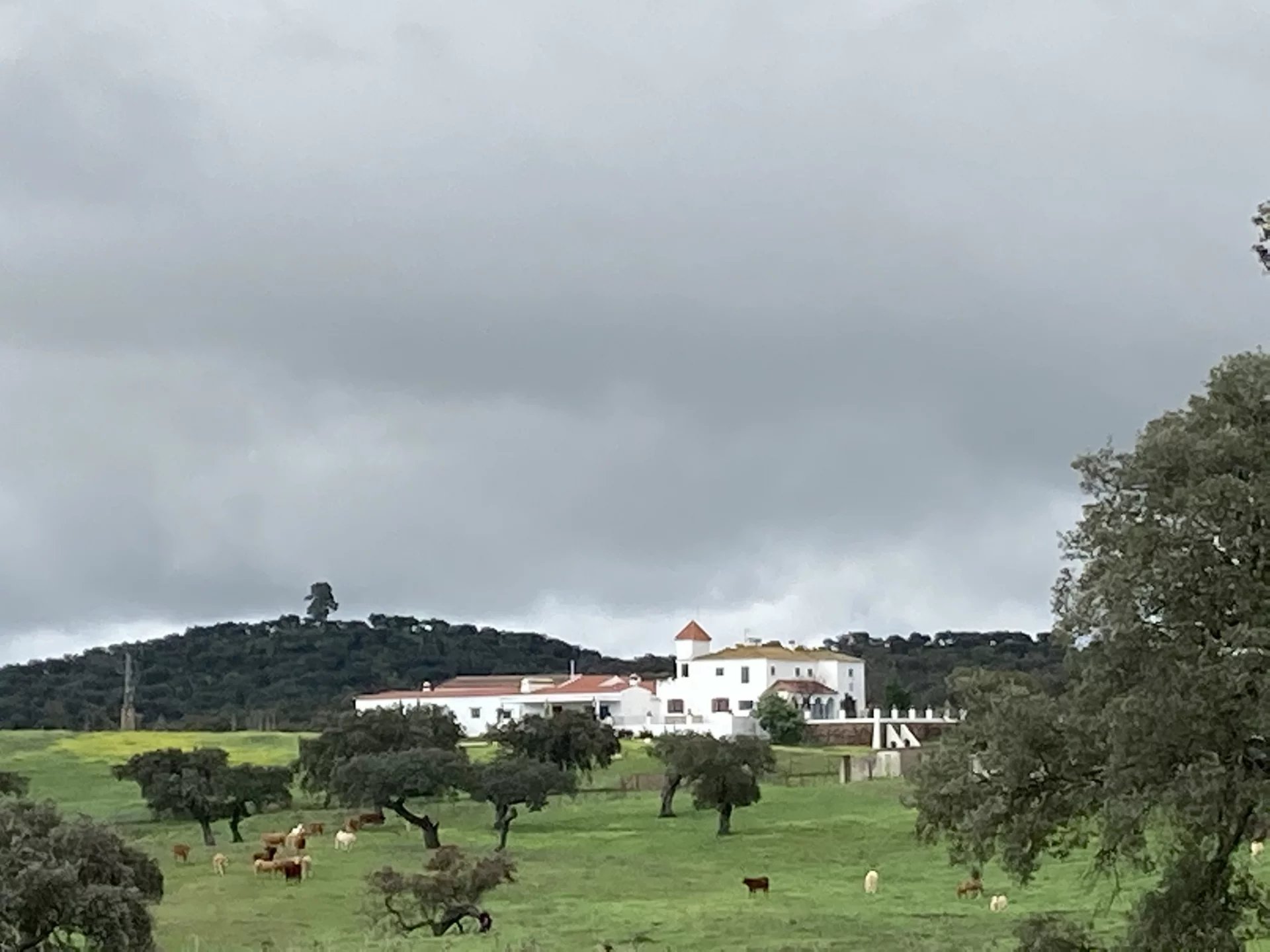 Dehesa Estate with Cortijo on the Shores of Lake Alqueva