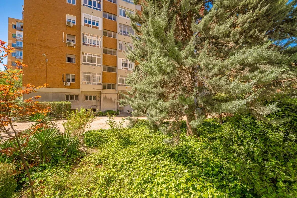 Daire Madrid - picture 37