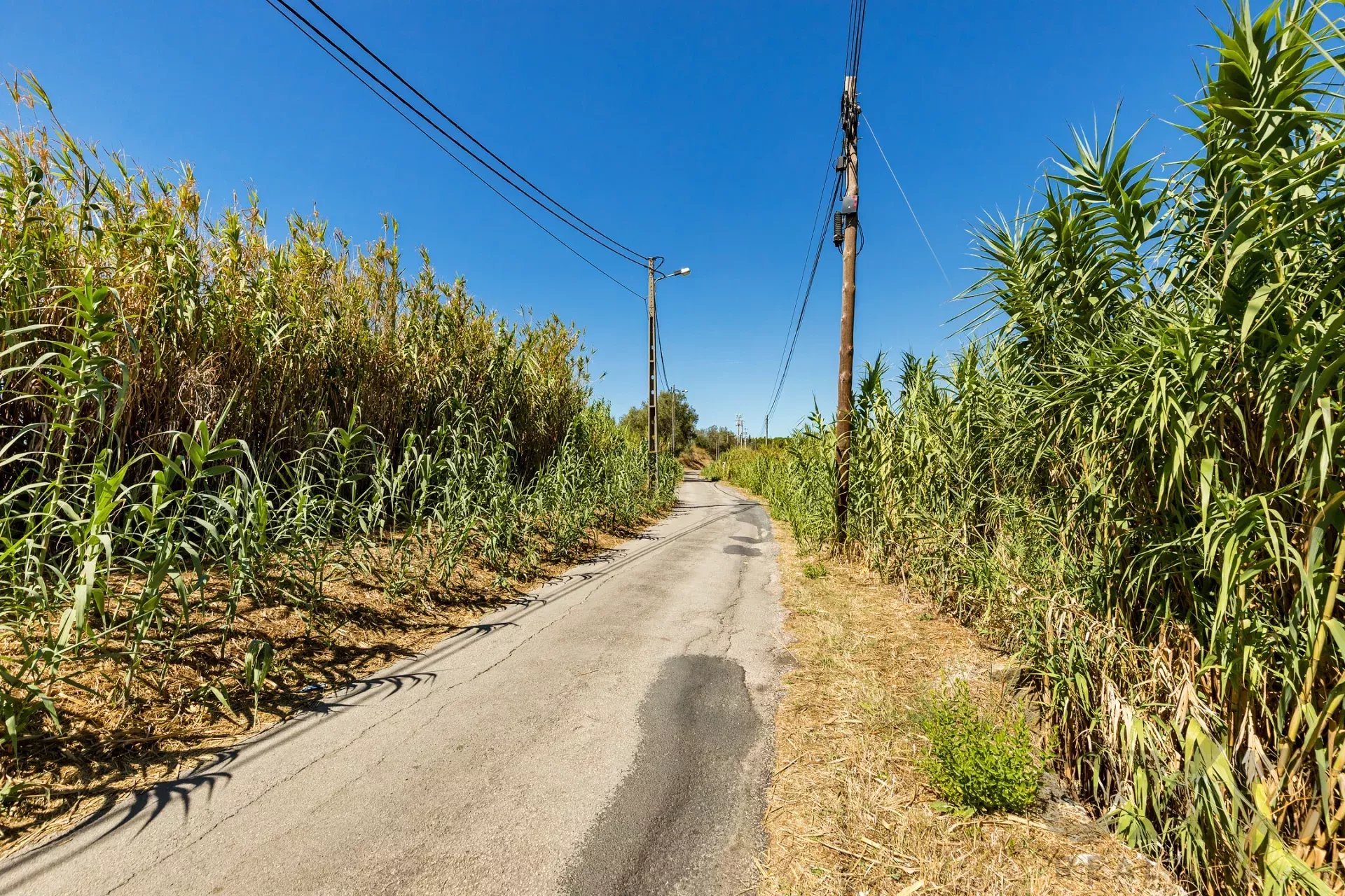 Land with Tagus view 86176491 image 16