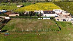 Exclusive Family Estate and Business Complex in Sant Llorenç, Ibiza — photo 3 of 7