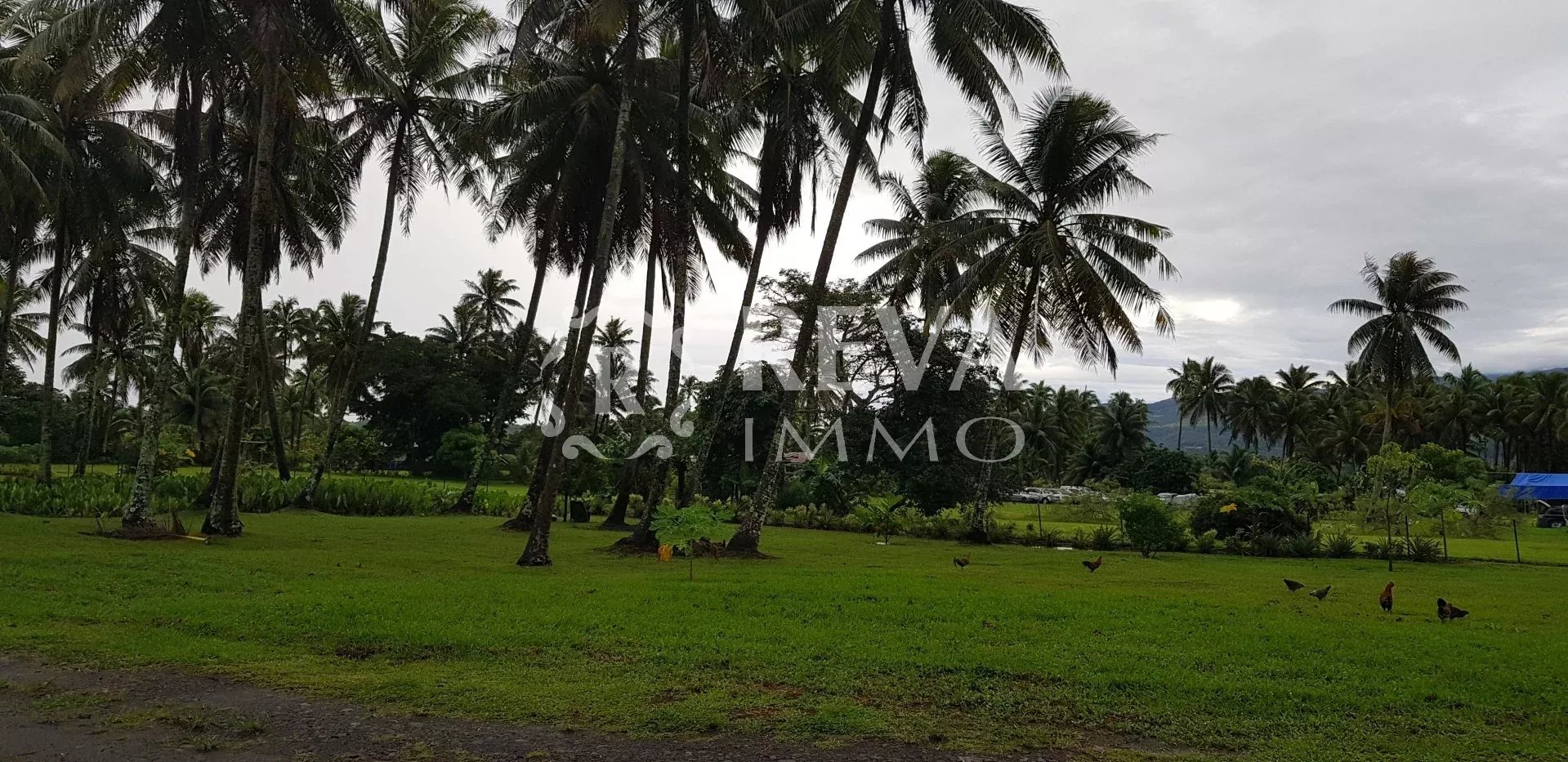 Location Maison Taravao