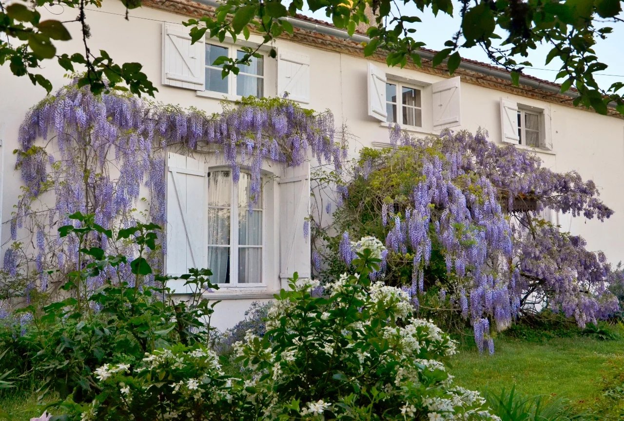 Belle maison de maitre et son beau parc de 1.8 hect