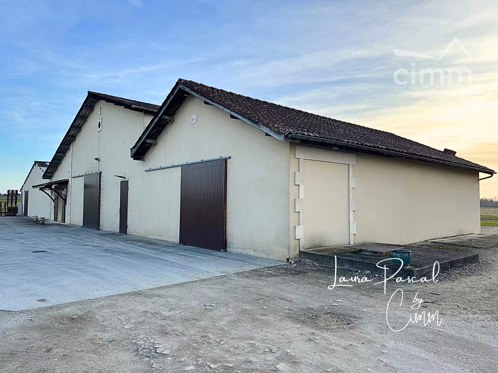 Agence immobilière de 