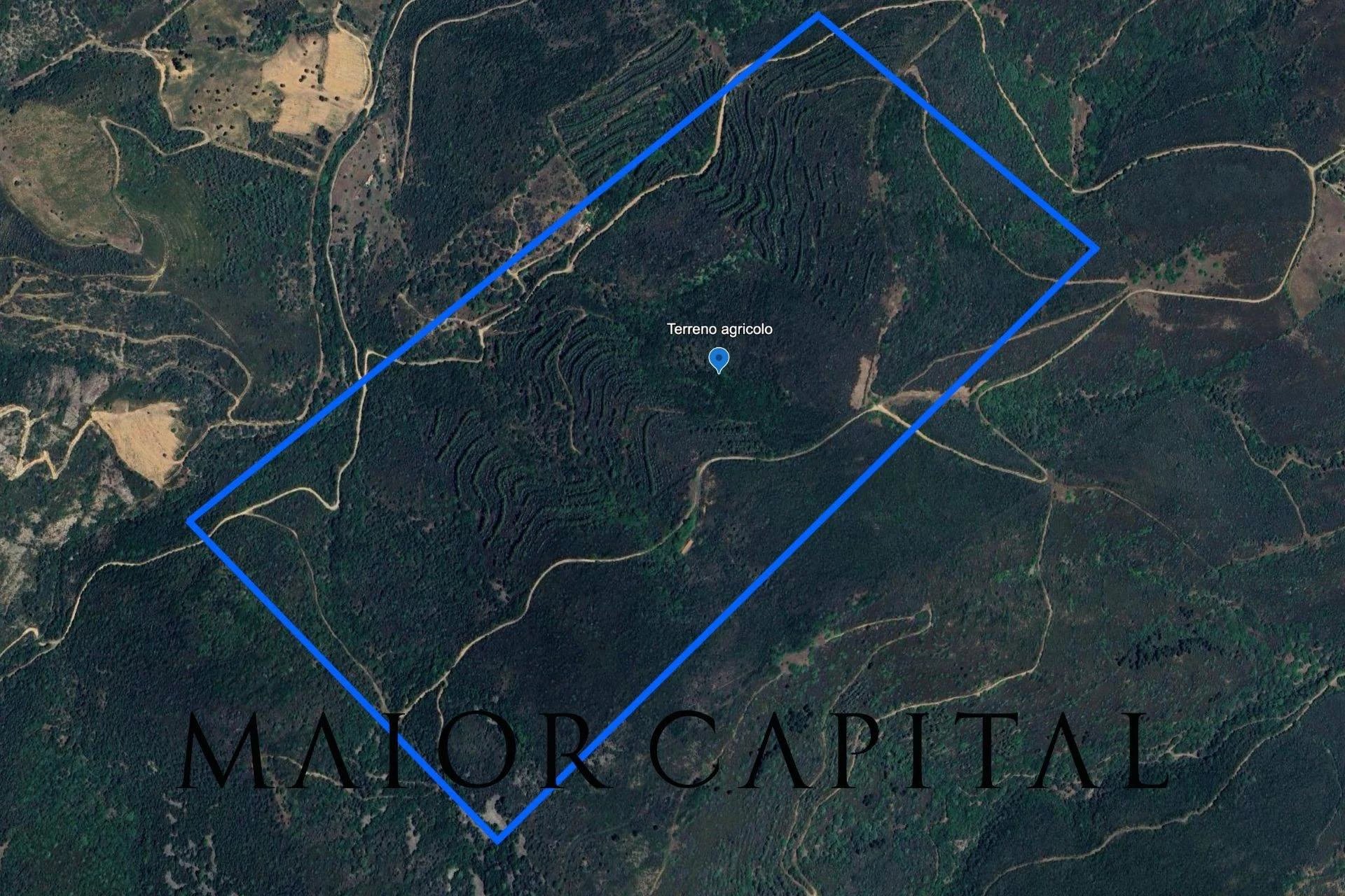 Budoni - San Teodoro | Terreno agricolo di 54 ettari frazionabile