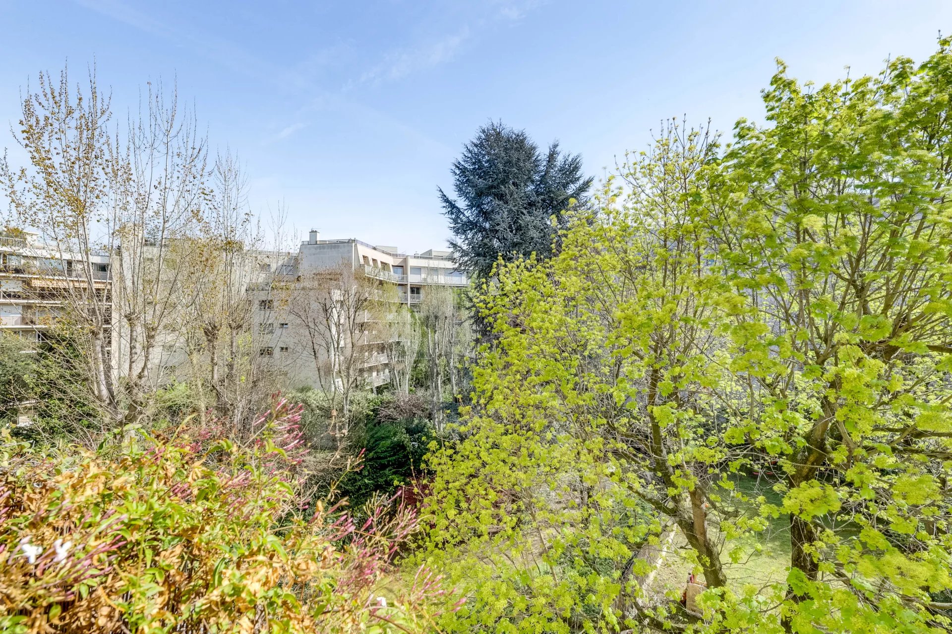 Photo 14 du bien N°86640876