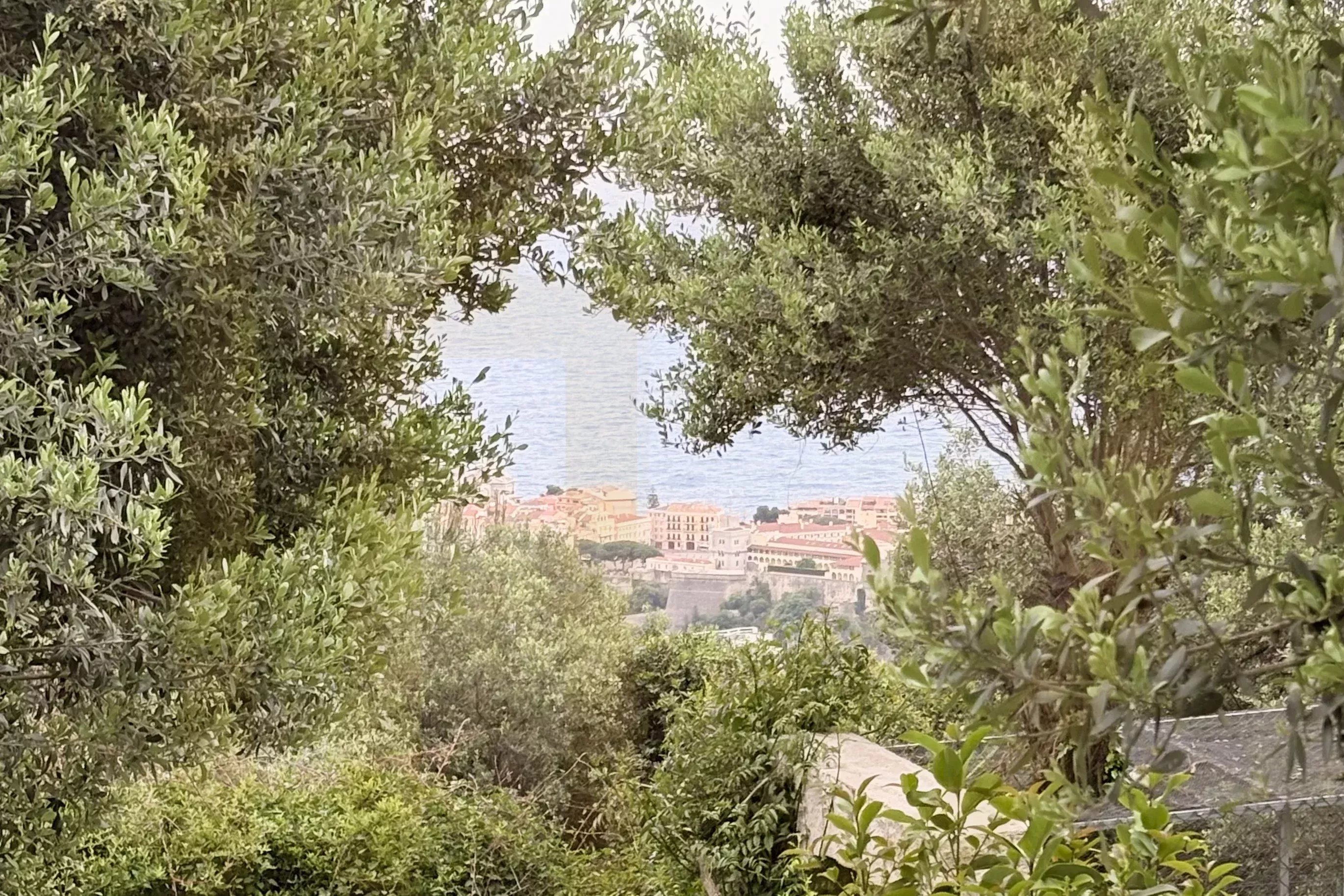 Plot for Sale: Scenic 1400 m² in Beausoleil, France