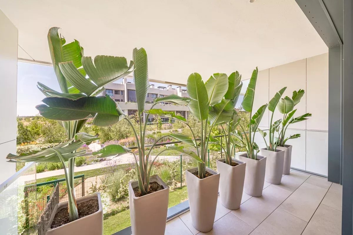 Daire Pozuelo de Alarcón - picture 17