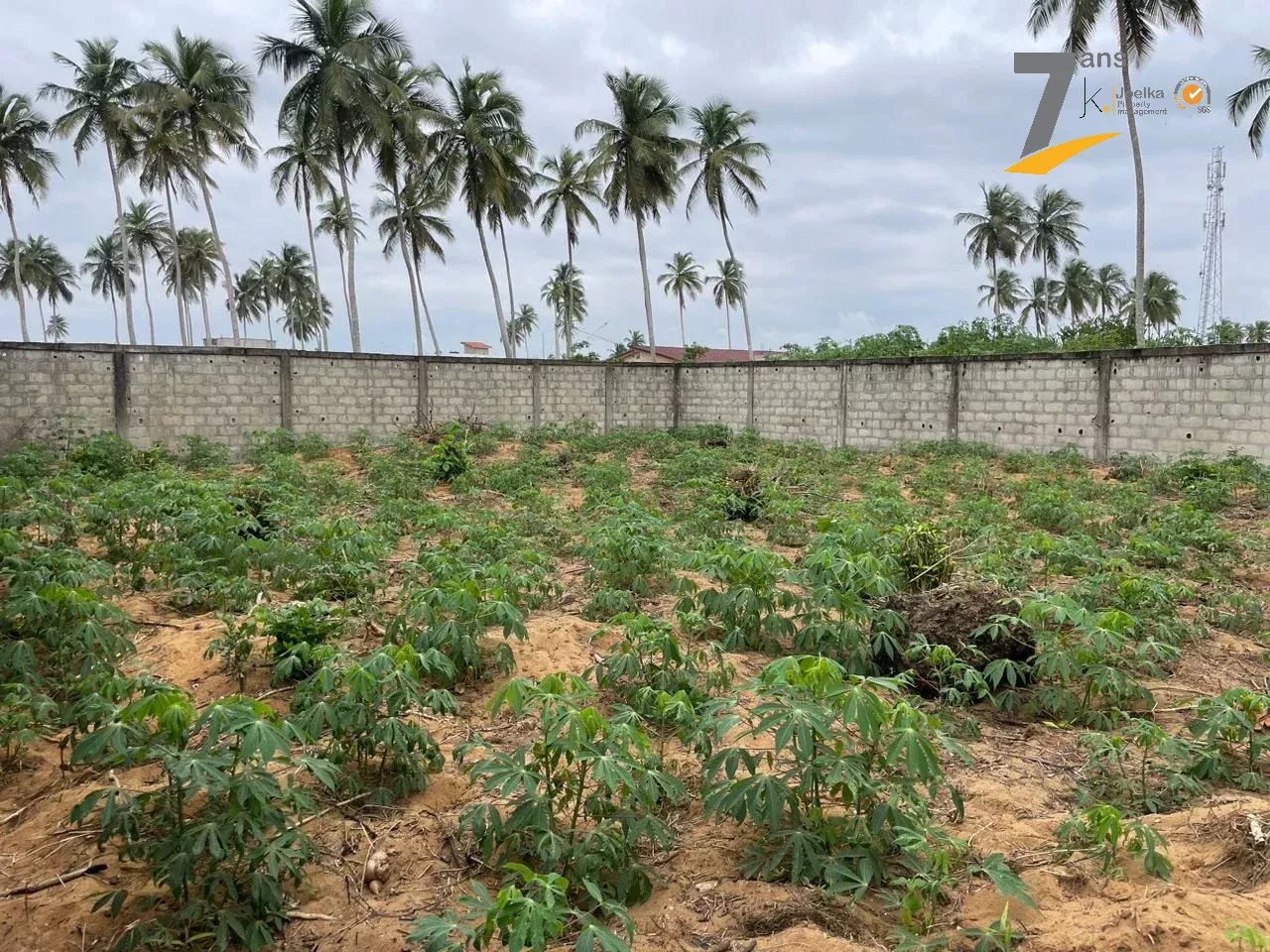 Vente Terrain Abidjan