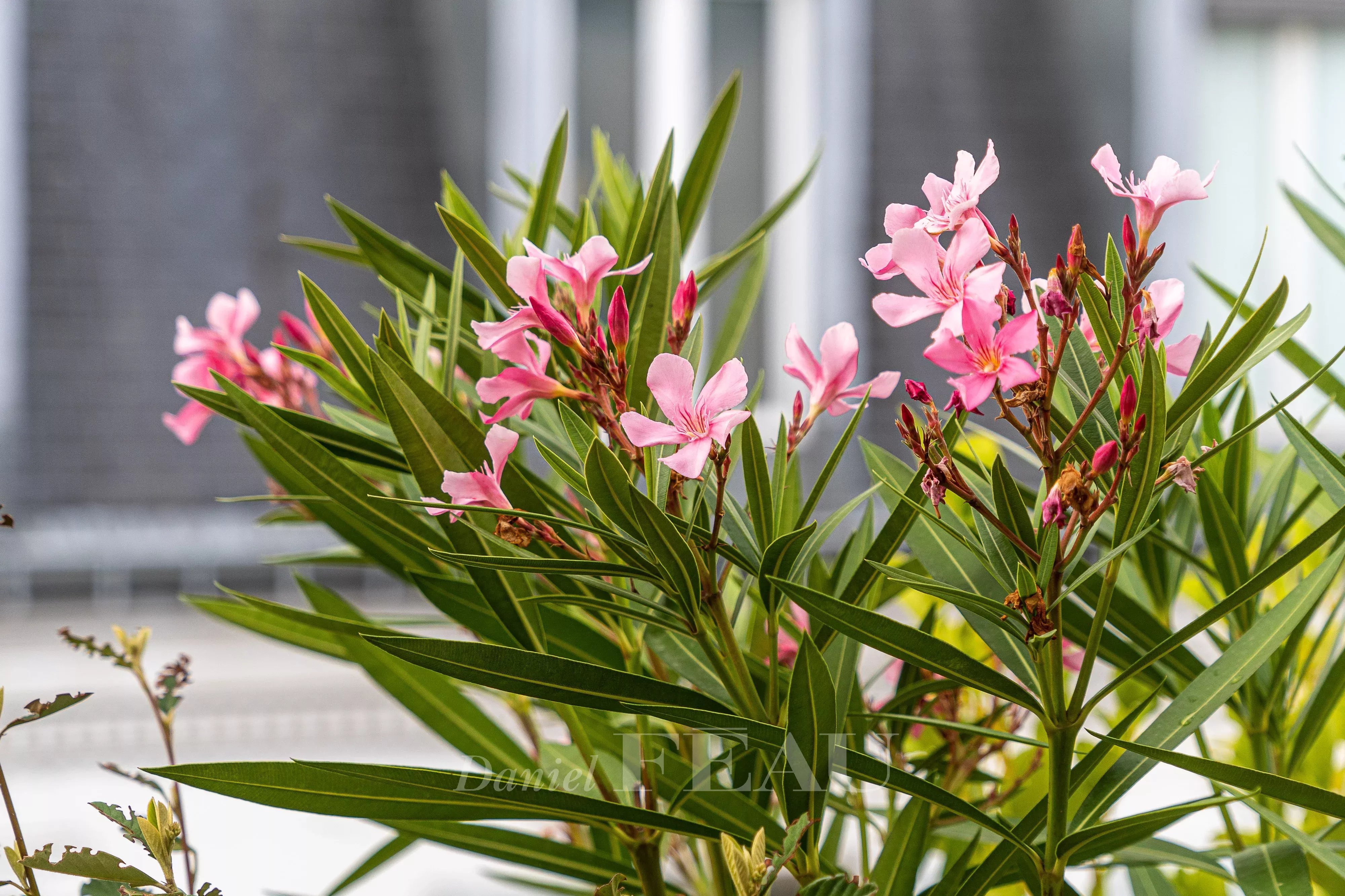 Sale Apartment Paris 6th