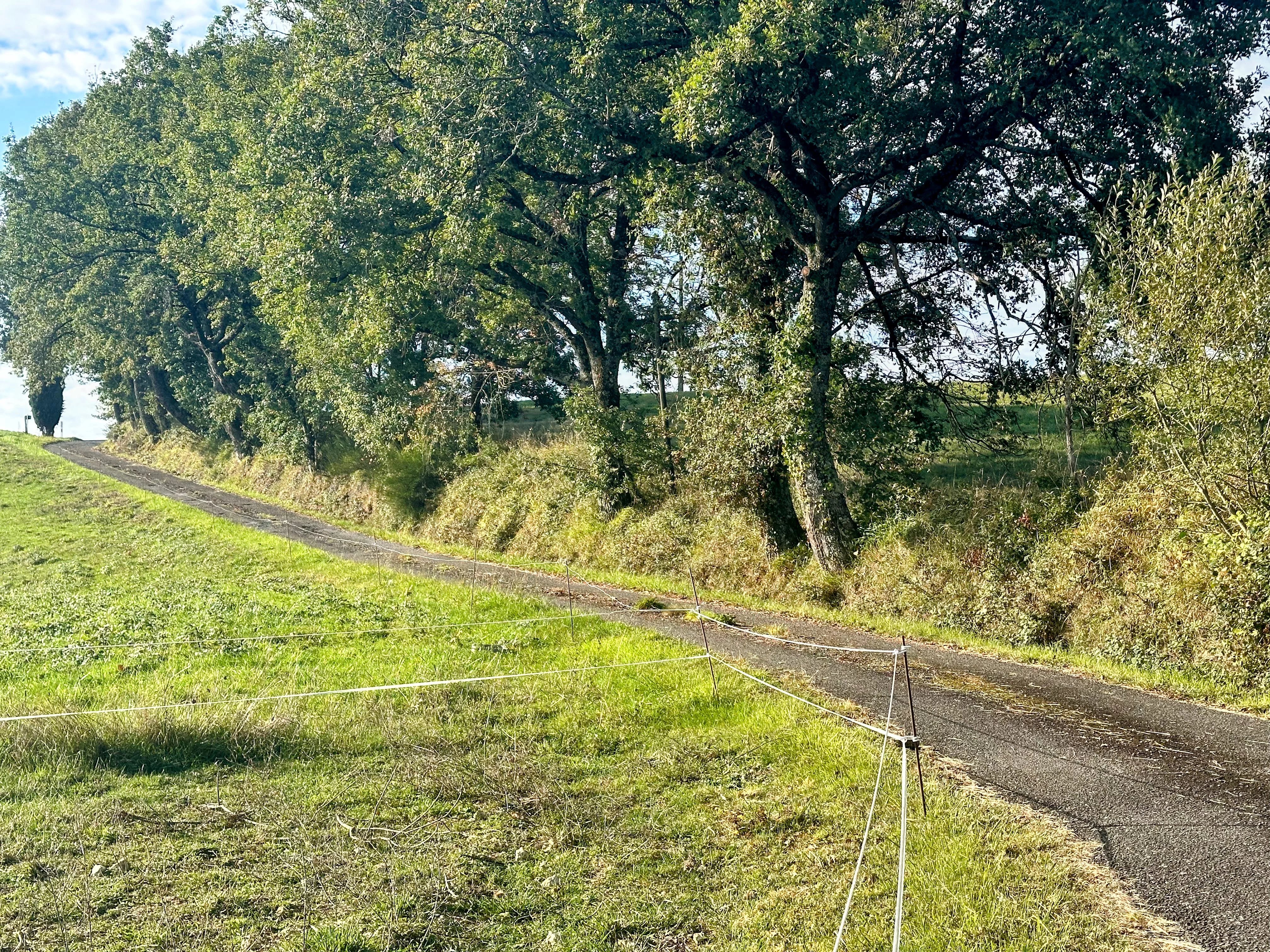 Boerderij te koop Armous-et-Cau, Gers