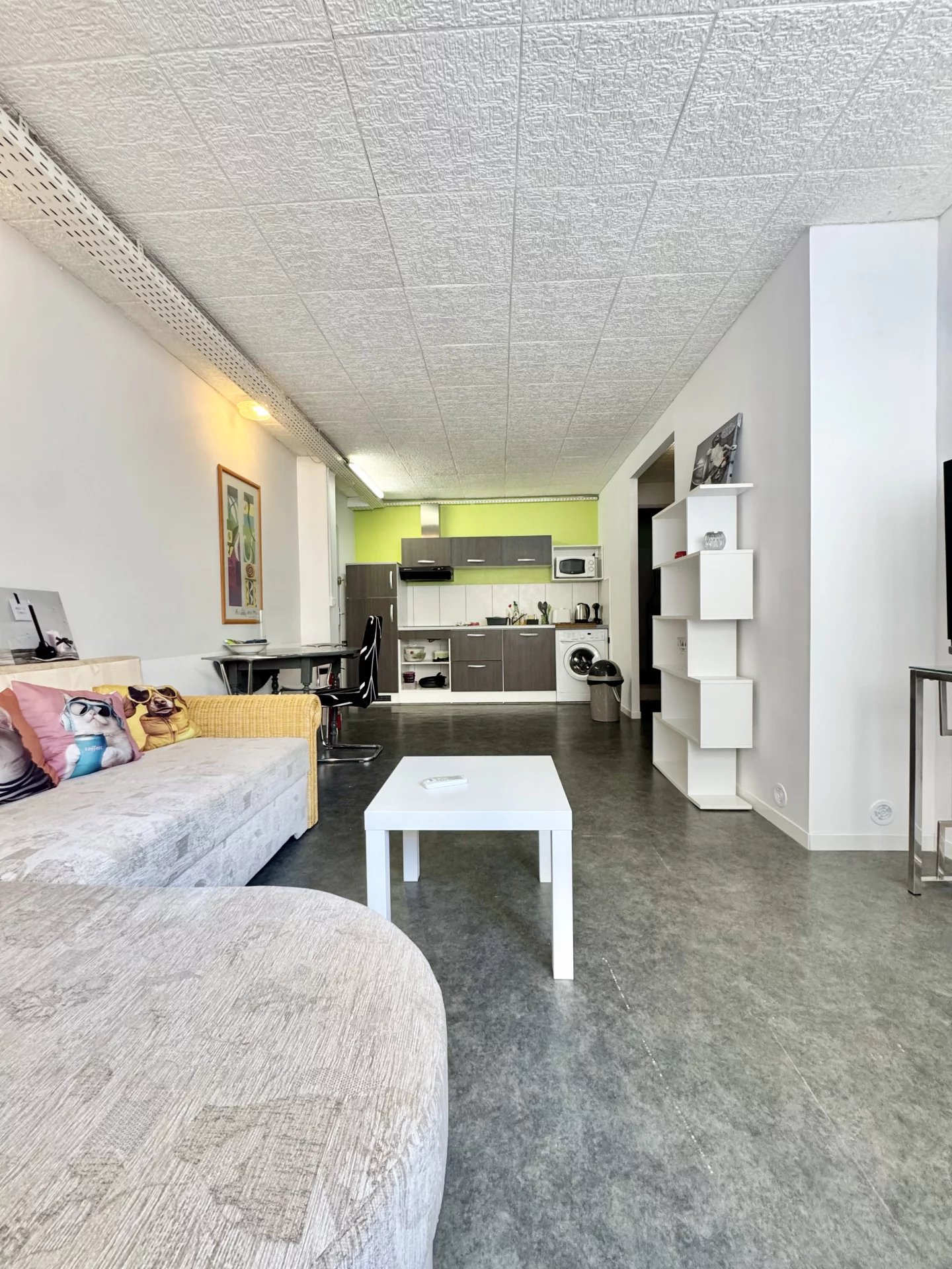 NICE MADELEINE. 2 pièces de 42 m² style atelier, lumineux et entièrement aménagé
