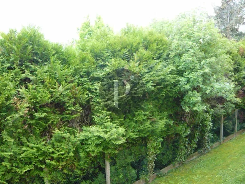 vente-appartement-4-pieces-sceaux-83876491