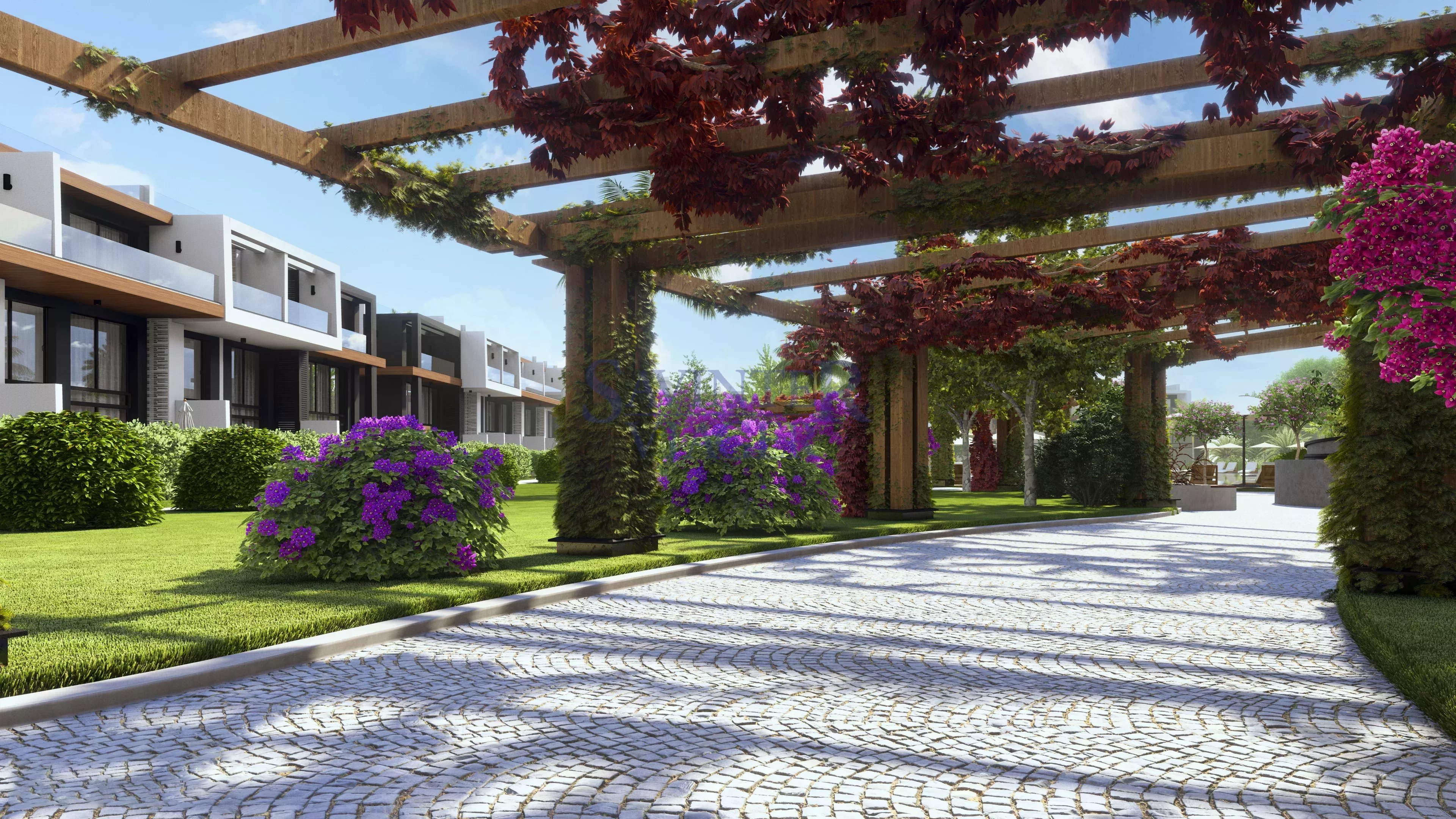 Agence immobilière de Savinter Viager