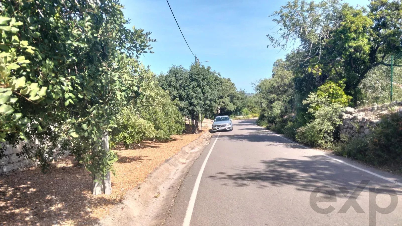 1560 m² Non-Constructible Land in Santa Bárbara de Nexe 86947956 image 4