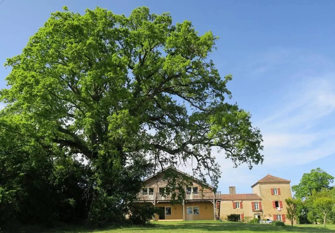 House in Sainte-Dode - view 1