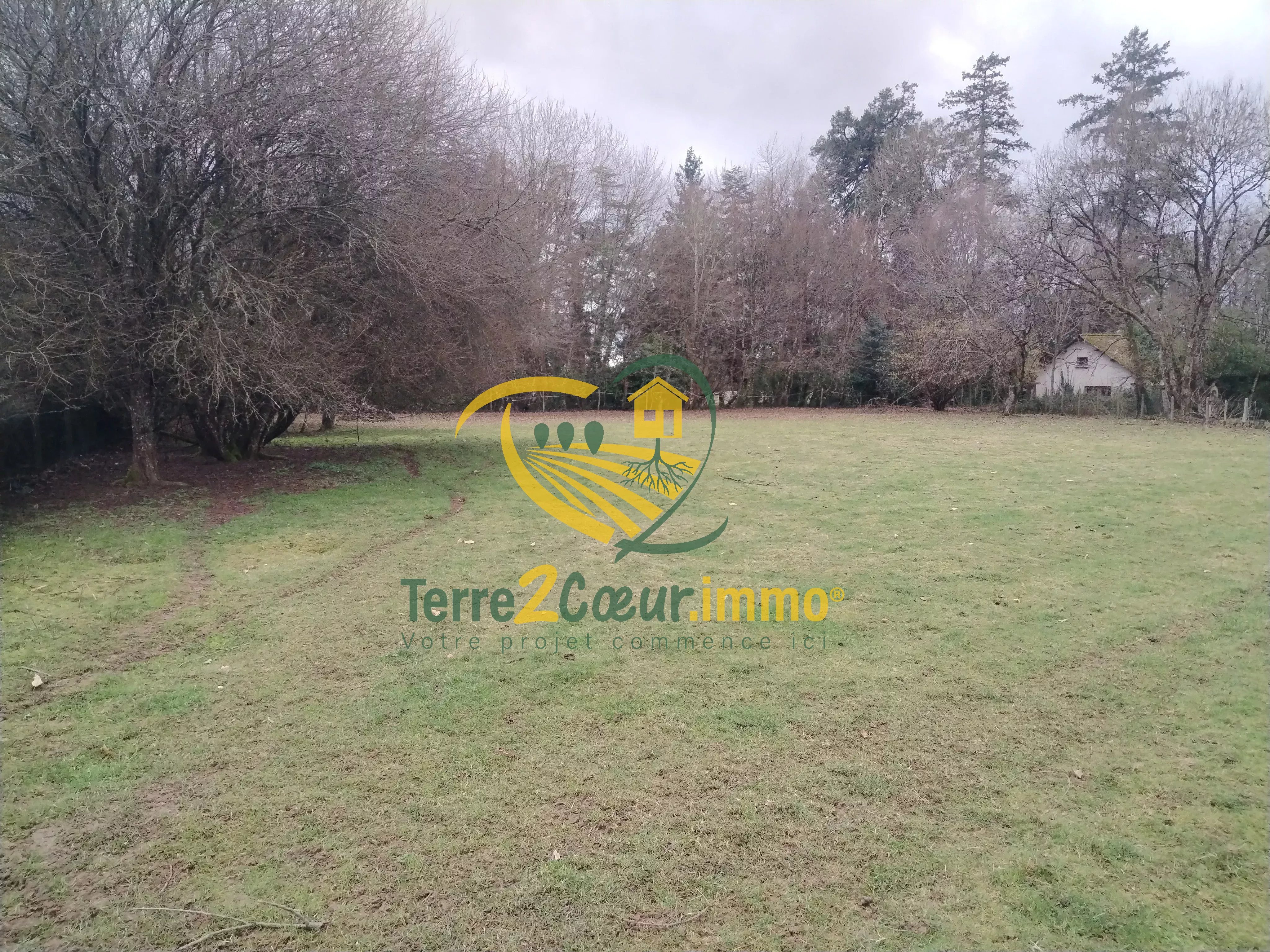 Terrain 2139 m² Henrichemont