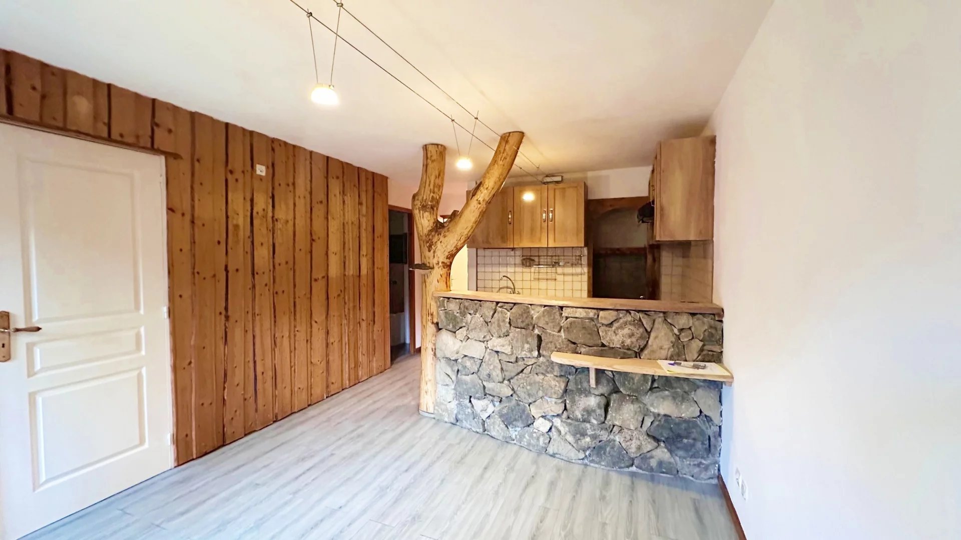 Vente Appartement Bellevaux