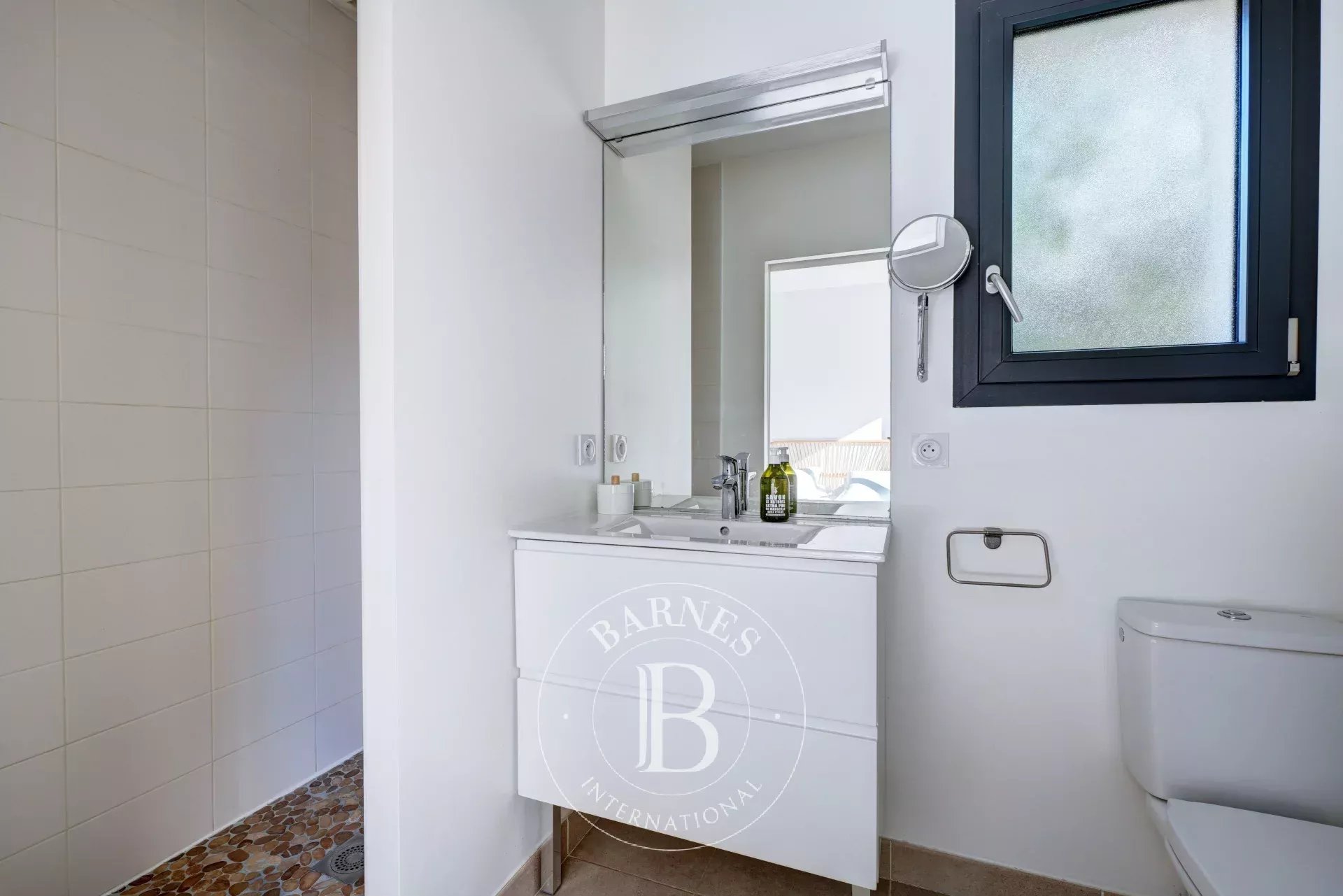 Ev Tassin-la-Demi-Lune - picture 8