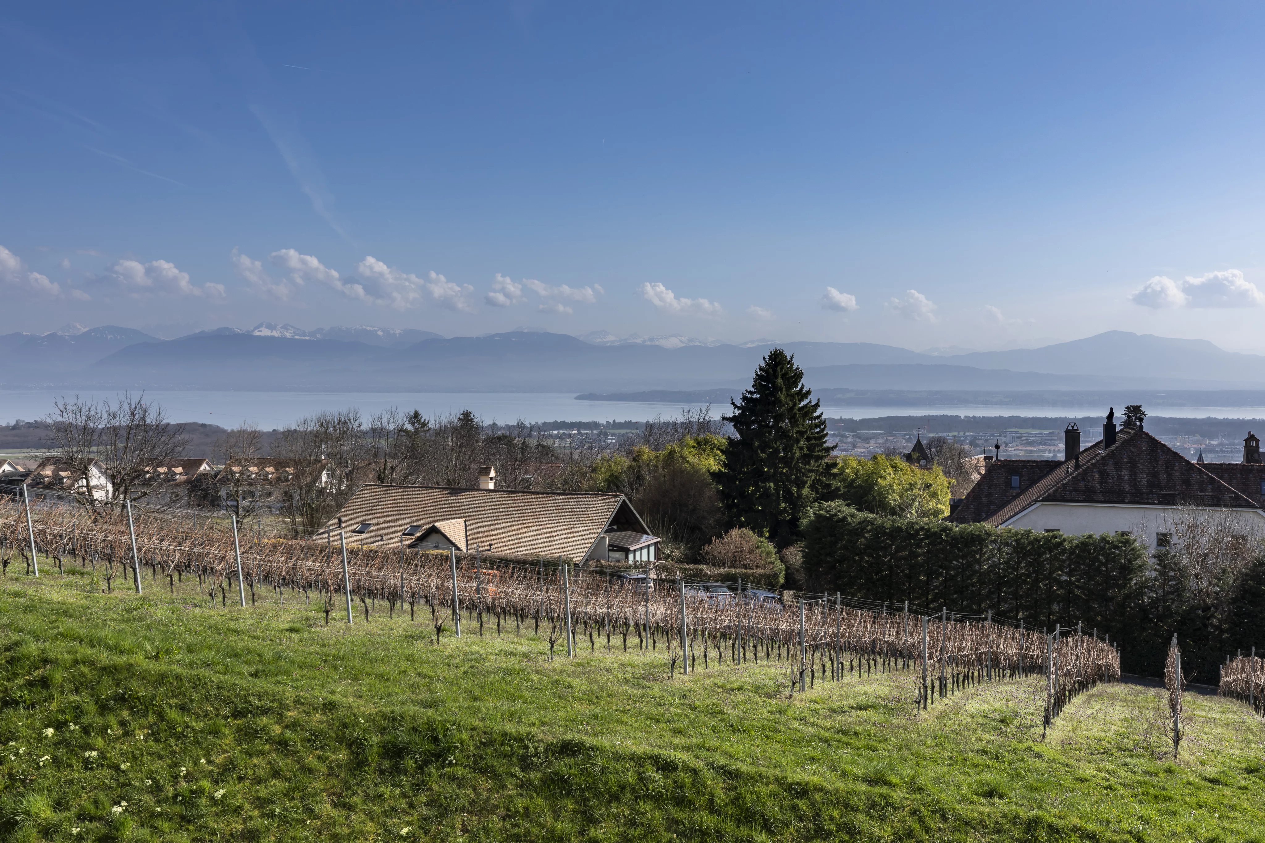 Villa contemporaine avec vue panoramique sur le Lac et le Mont-Blanc