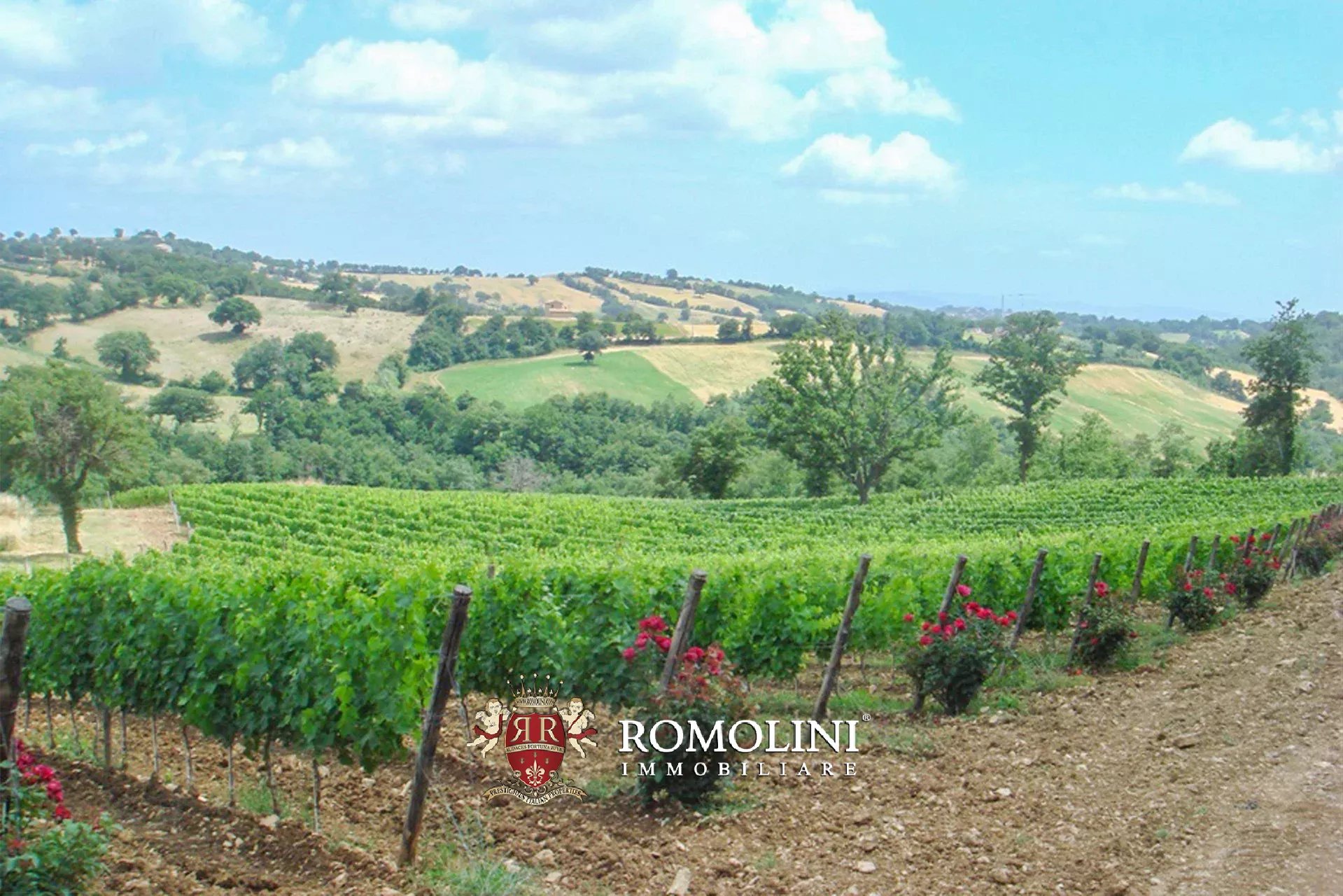 8 Bedroom Vineyard's Image 7