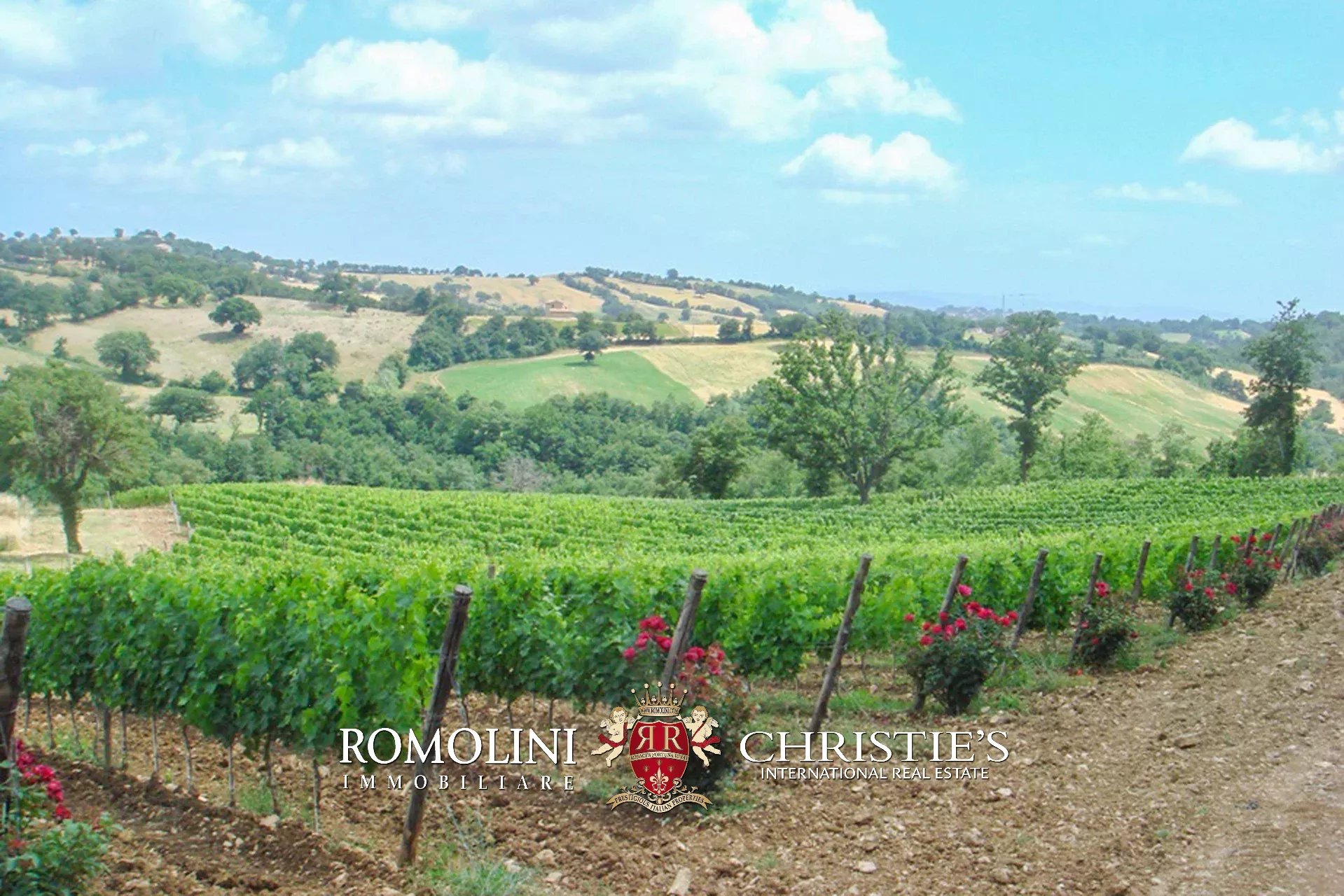 8 Bedroom Vineyard's Image 7