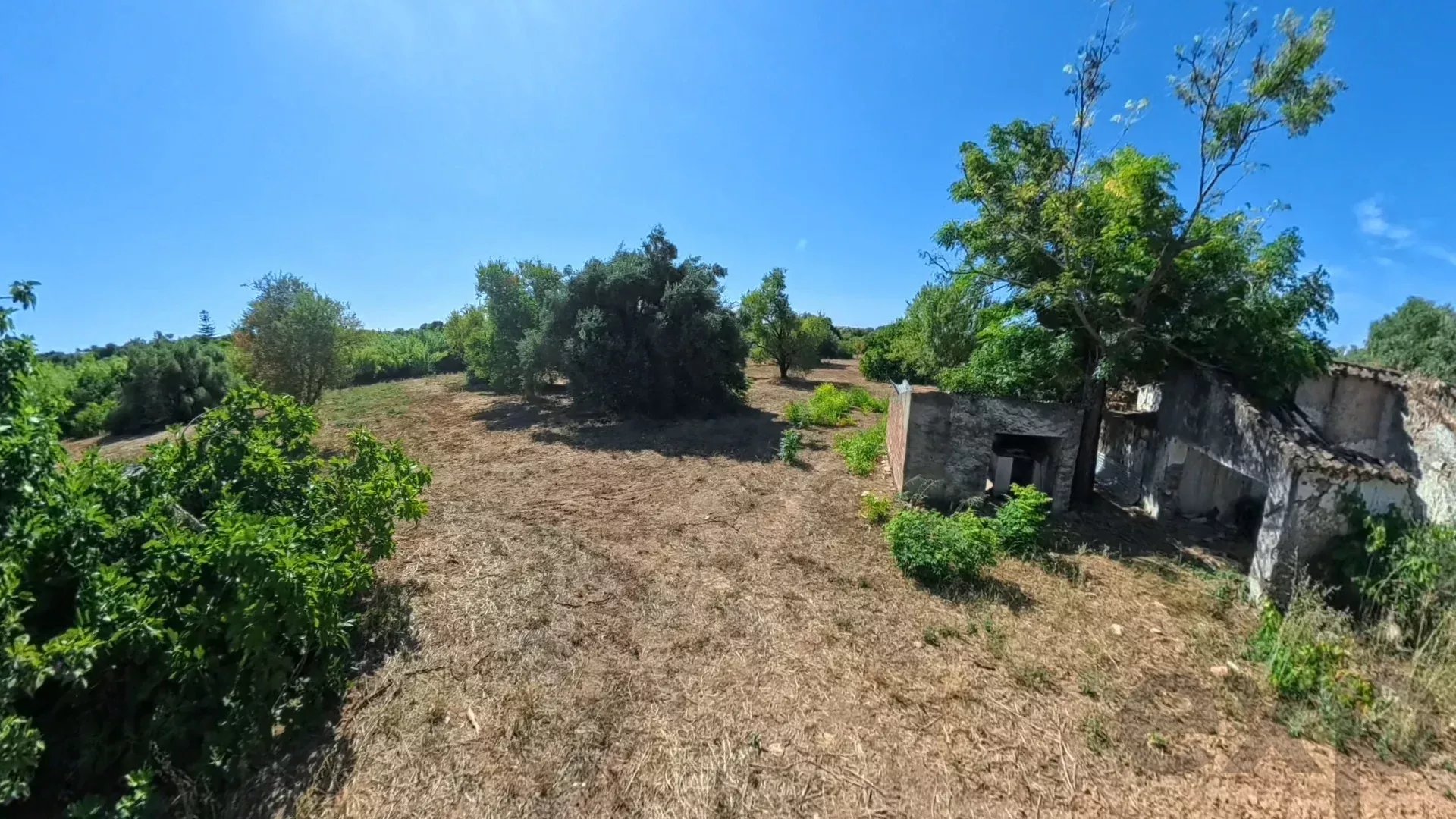 Traditional Countryside Property in Santo Estêvão, Tavira 87172633 image 14