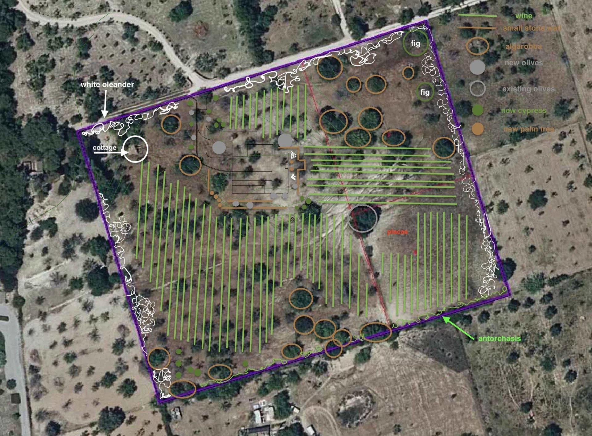Terrain à bâtir avec licence et projet à vendre à Moscari Mallorca