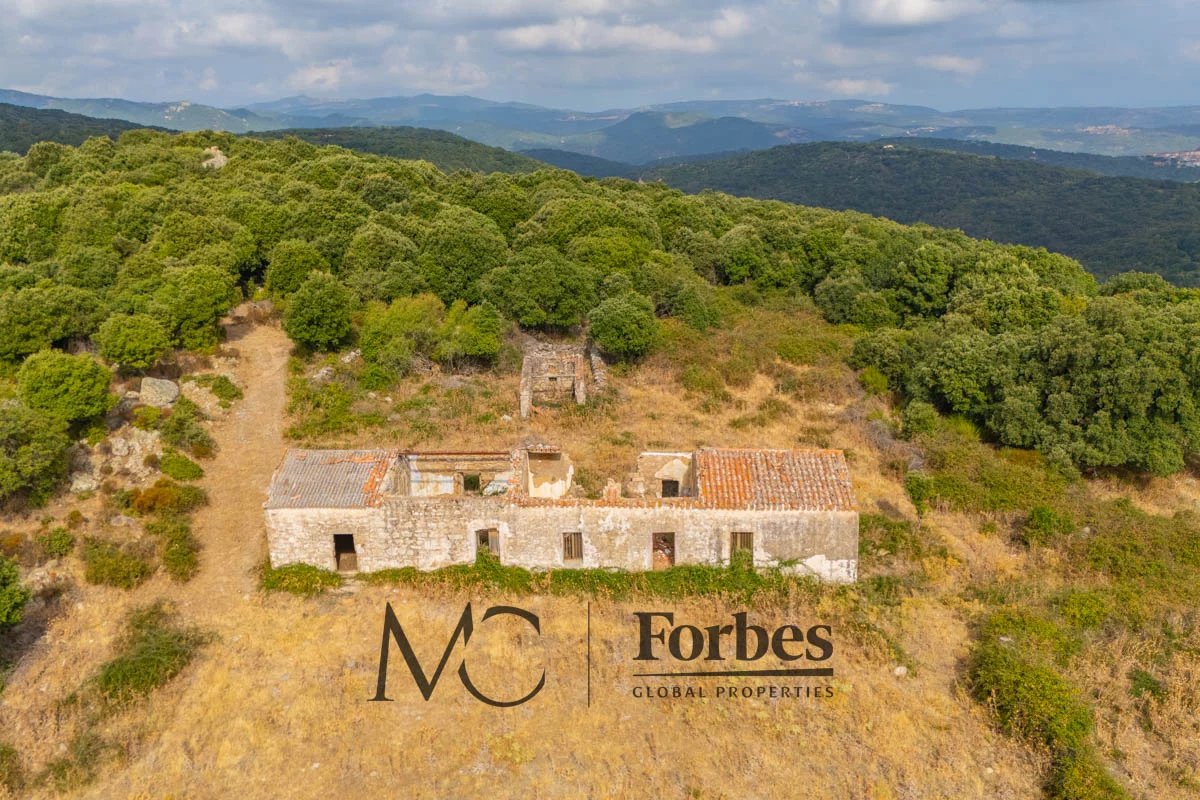 Land in Luras - Image 3