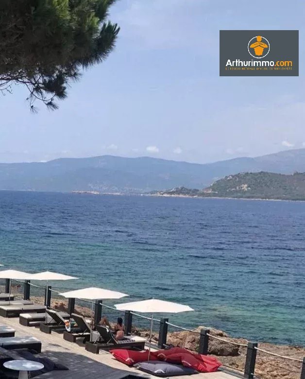 HOTEL RESTAURANT PIEDS DANS L'EAU - CORSE DU SUD - Photo 4