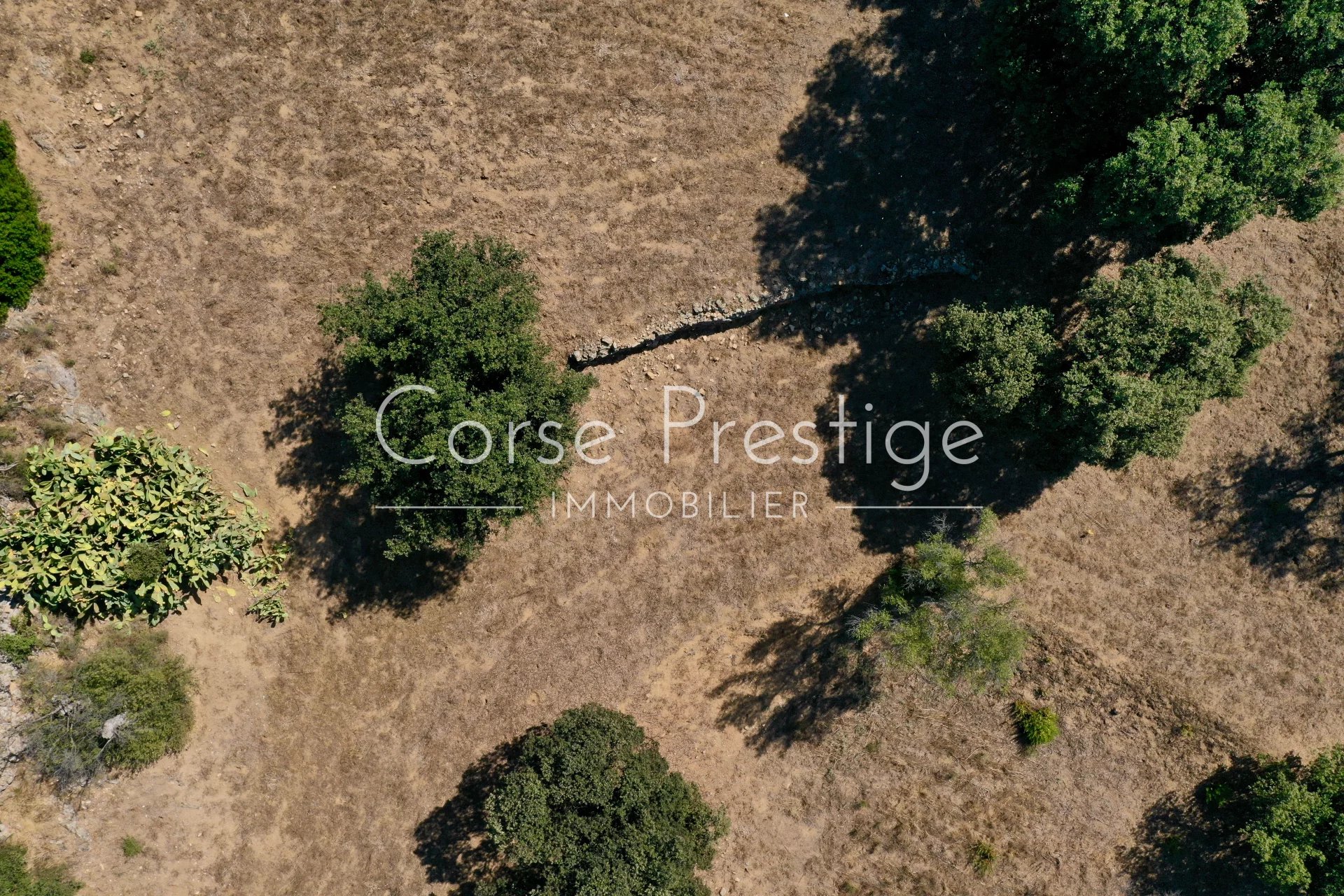 building land for a house - sea view - lumio - calvi image2