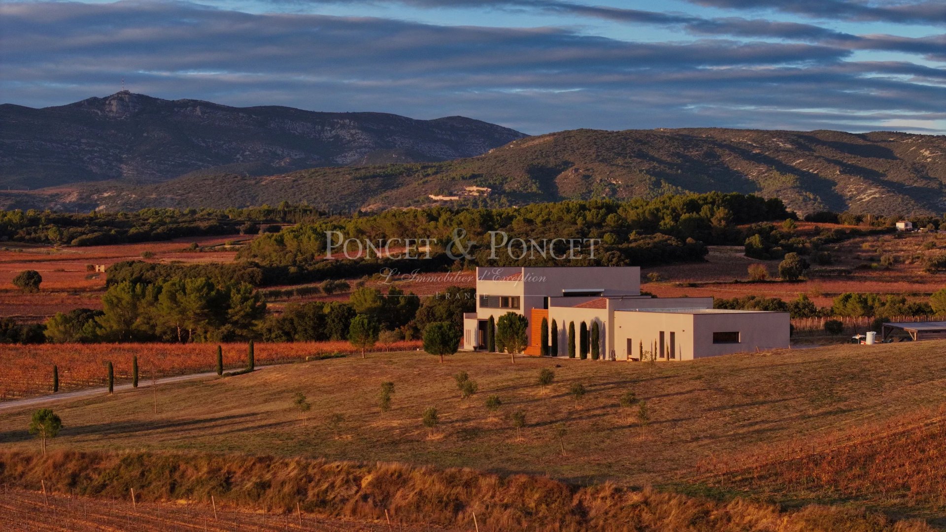 Single family home