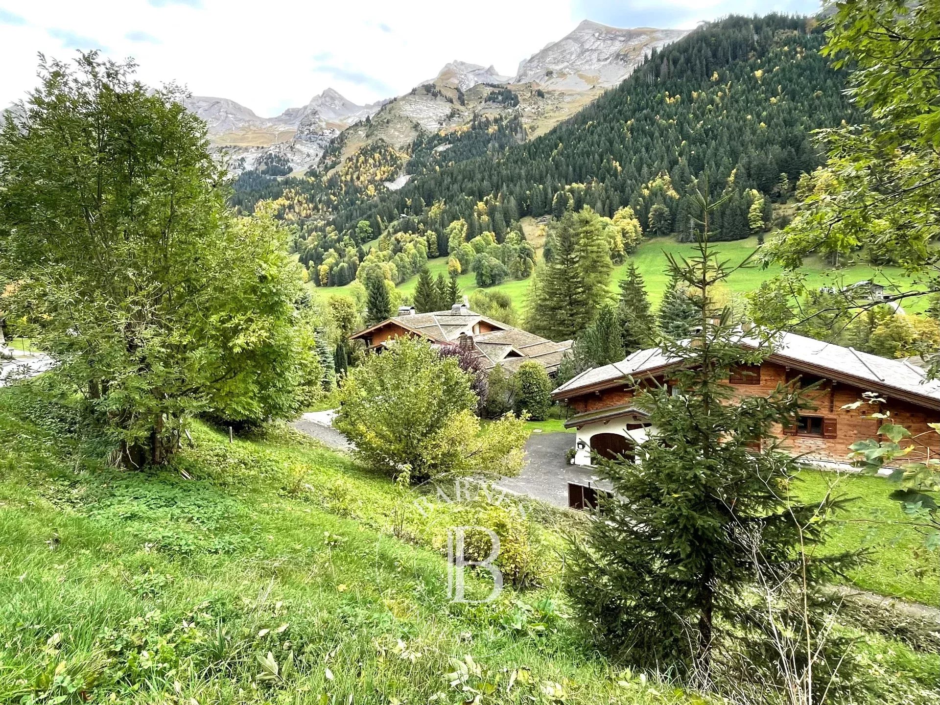 Terrain constructible La Clusaz  -  ref 85310154 (picture 3)