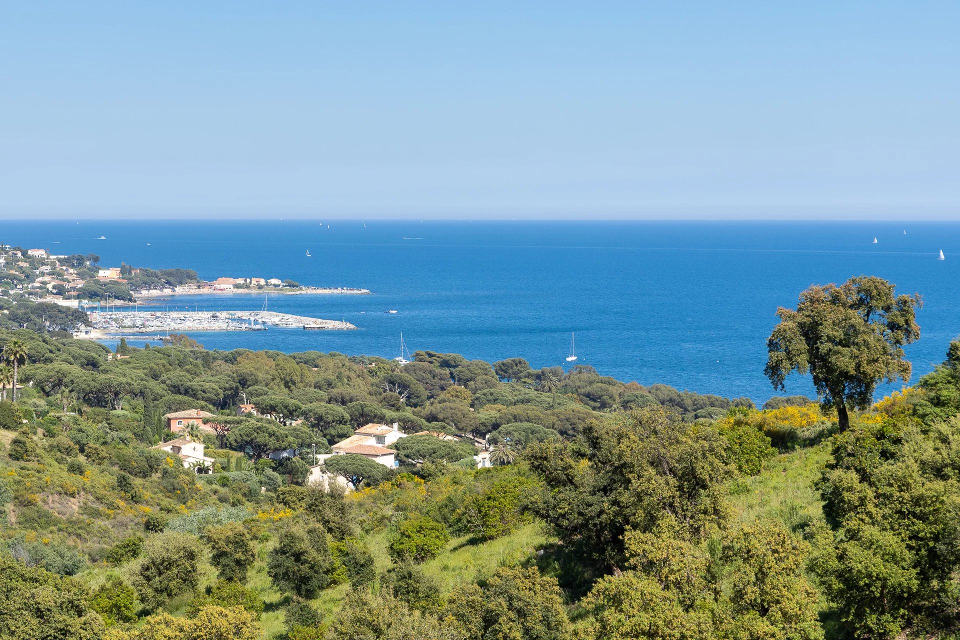Sale Plot of land Sainte-Maxime