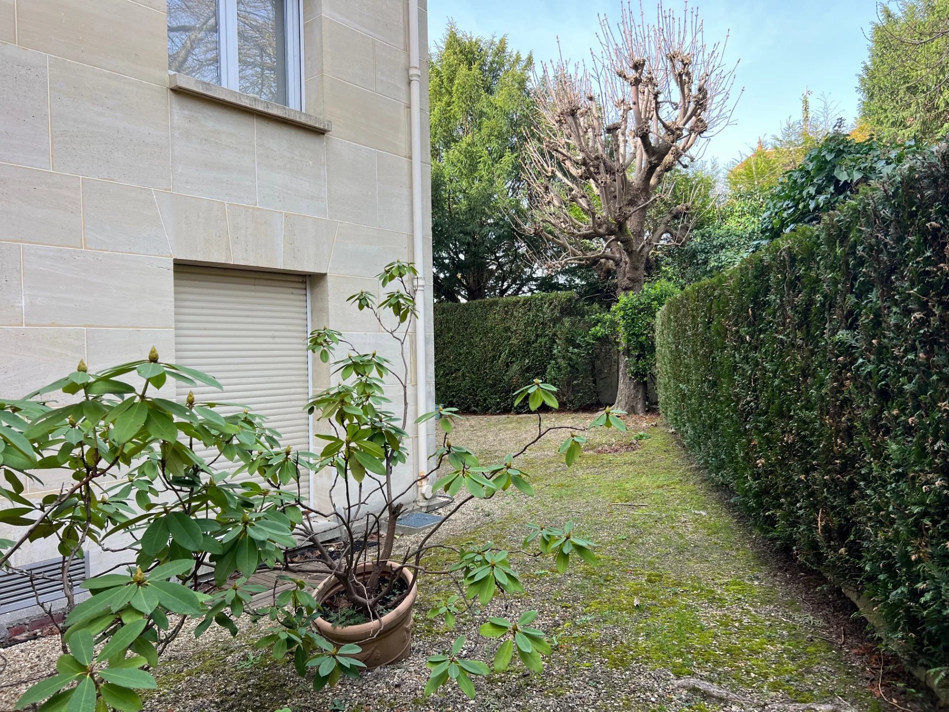 Image de la propriété 12