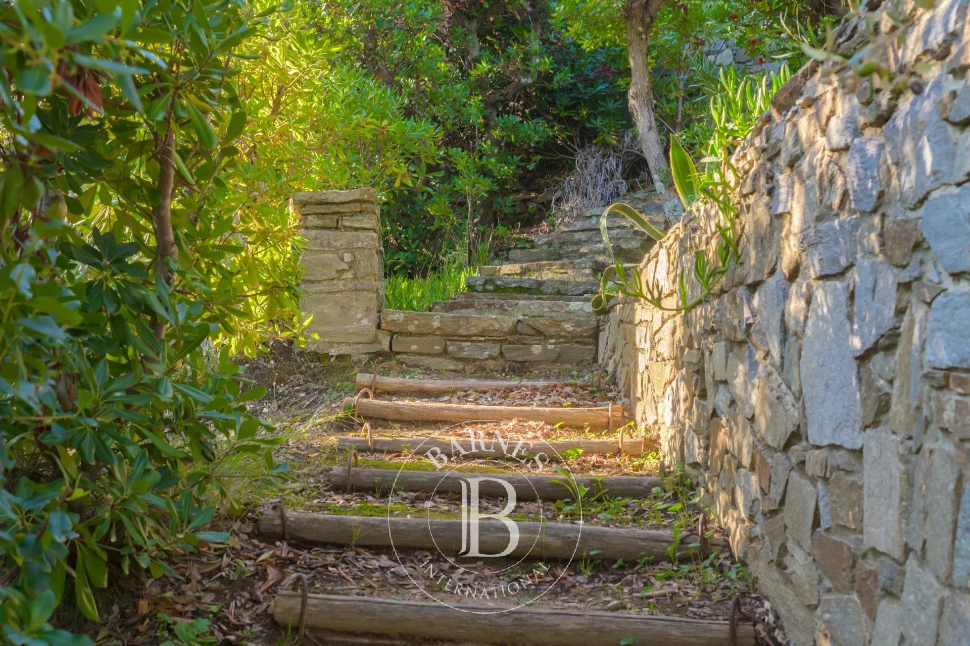 Ev Bormes-les-Mimosas - picture 14