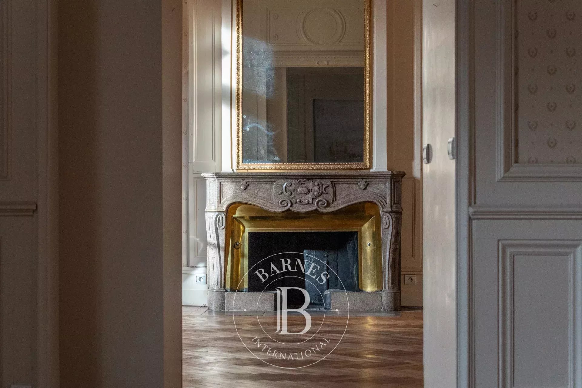 Daire Rochetaillée-sur-Saône