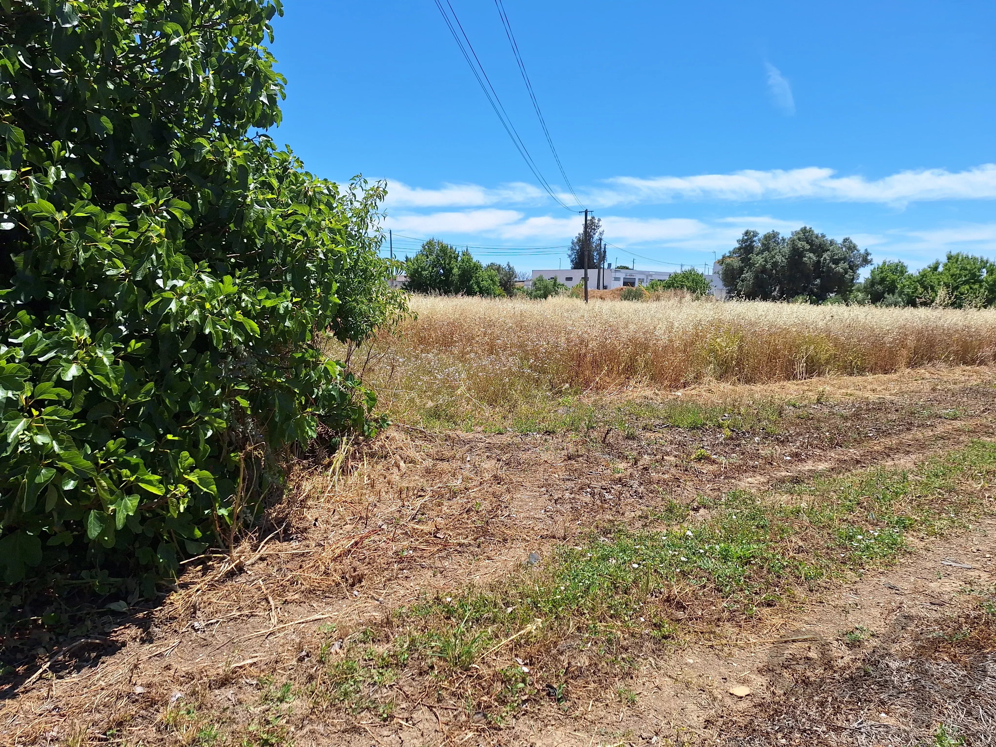 Rustic Land in Mar e Guerra 87032942 image 4